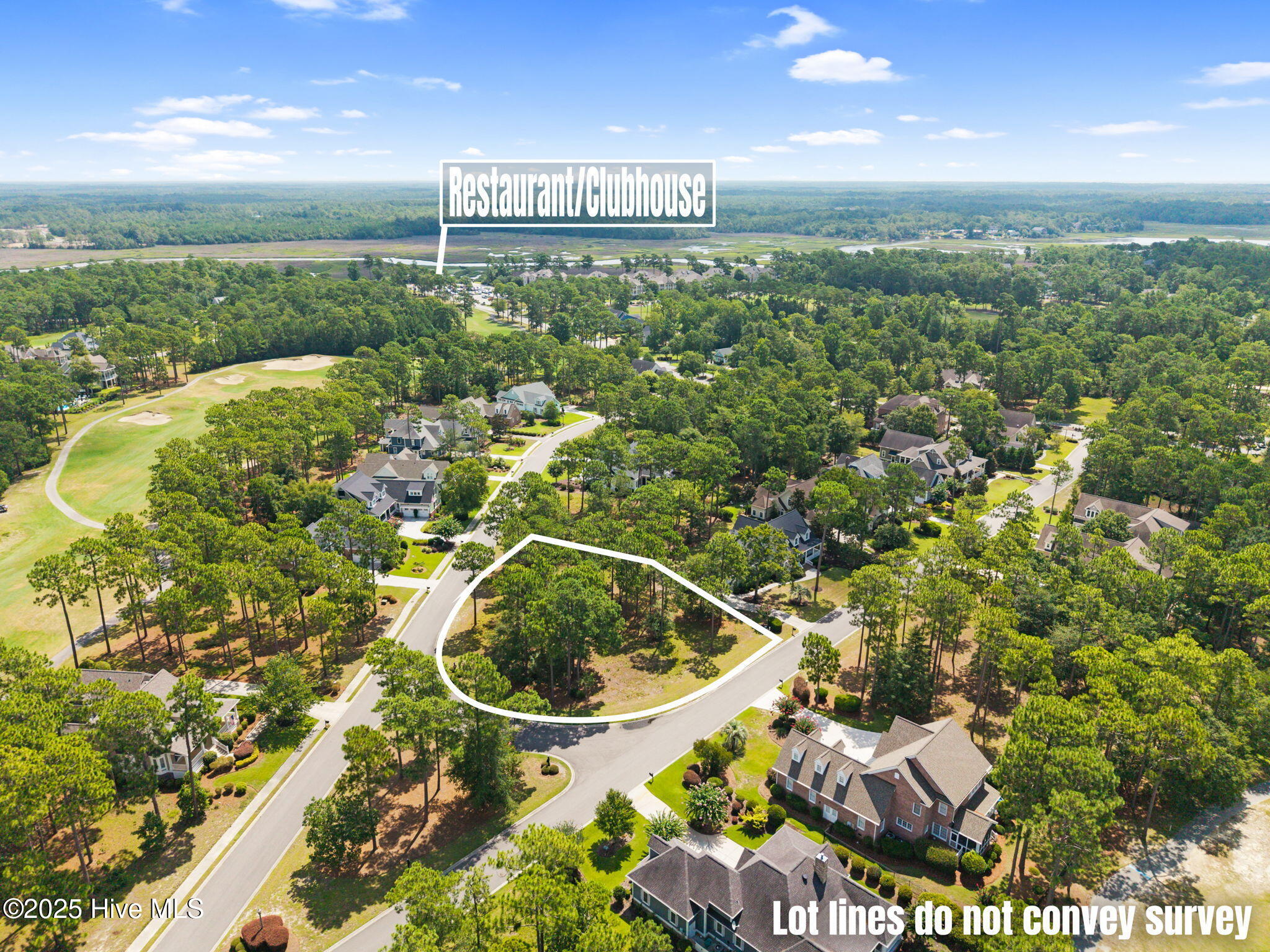 484 Emerald Valley Drive Property Photo 13