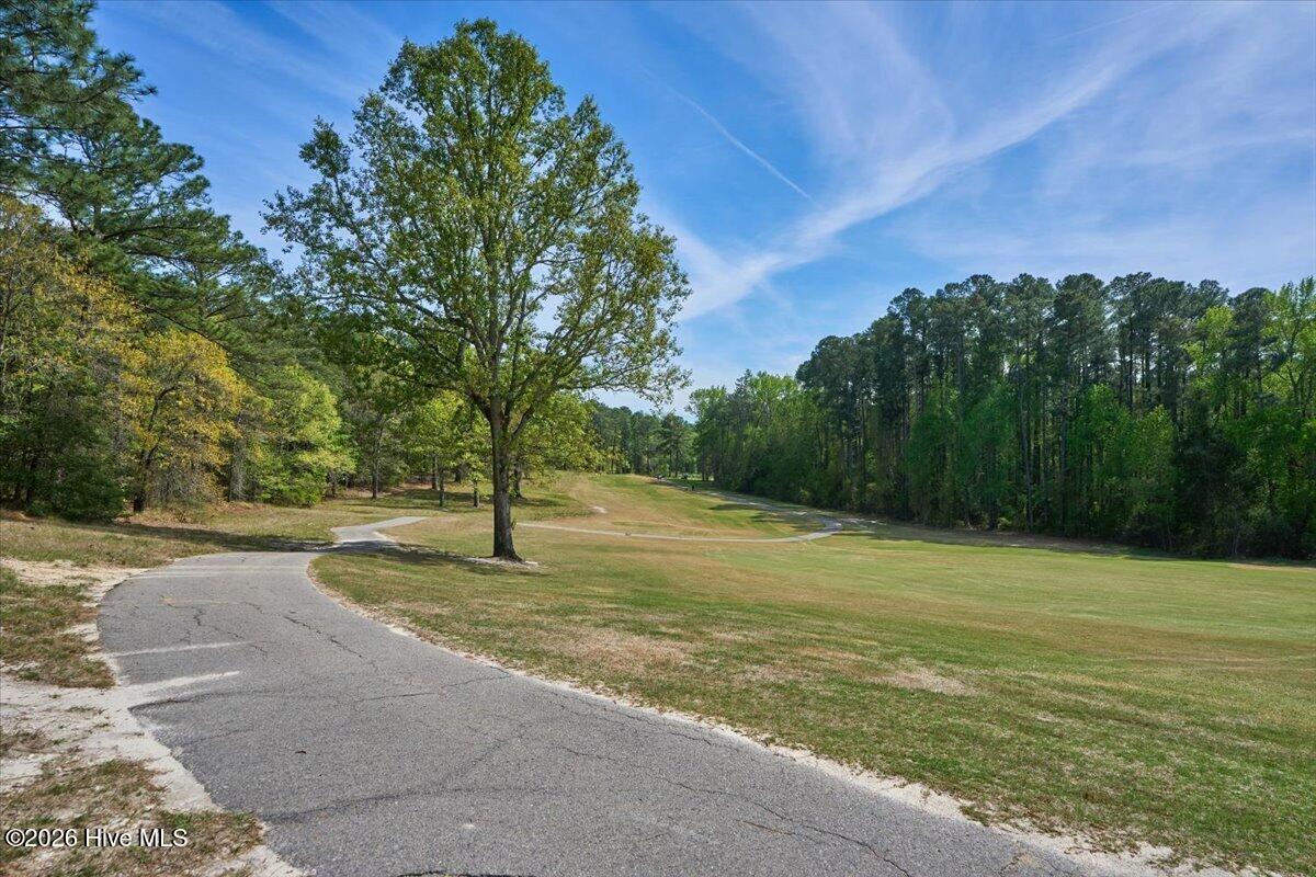 451 Thimbleberry Drive Property Photo 83