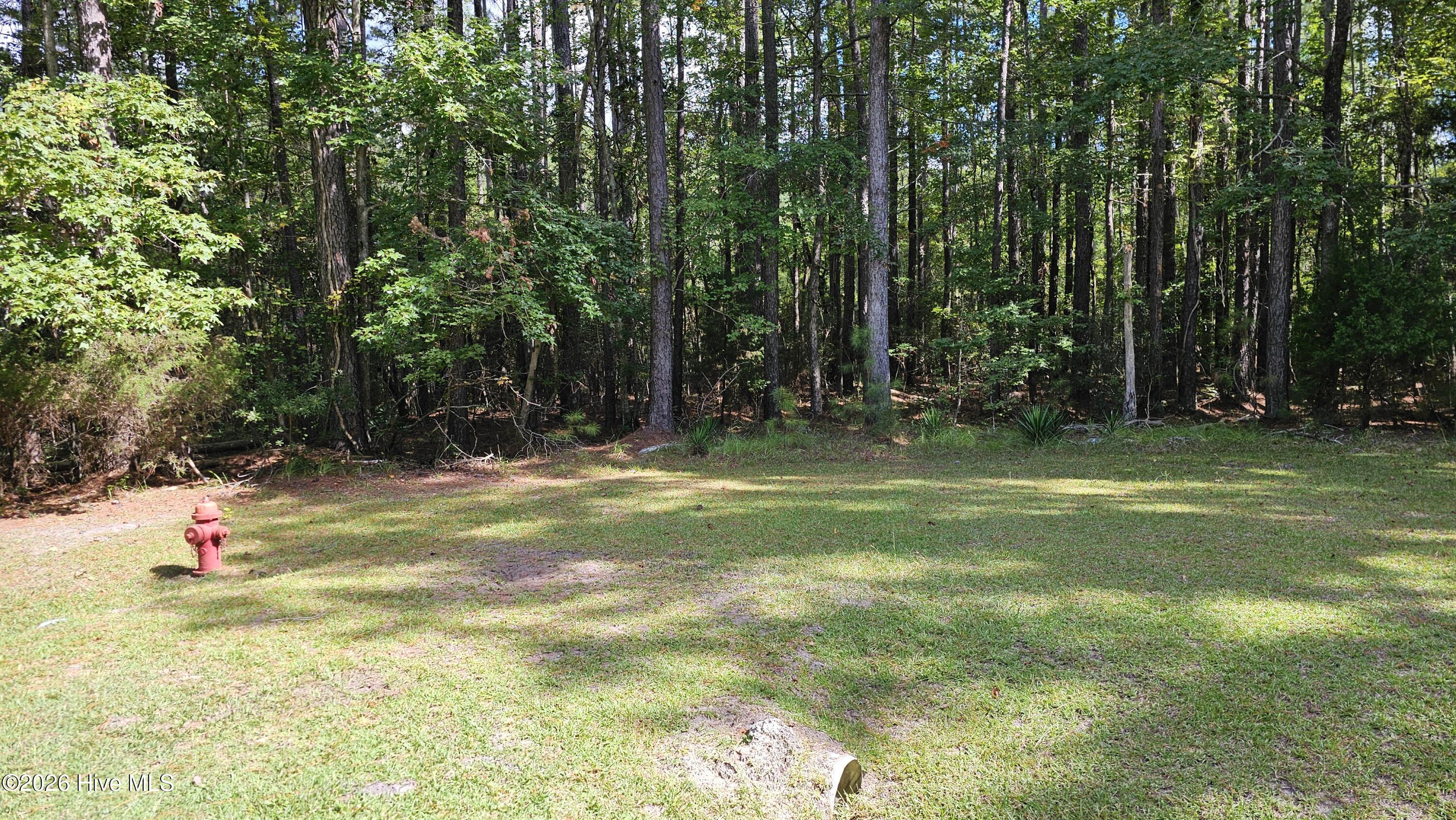 168 Arnetta Way N Property Photo 2