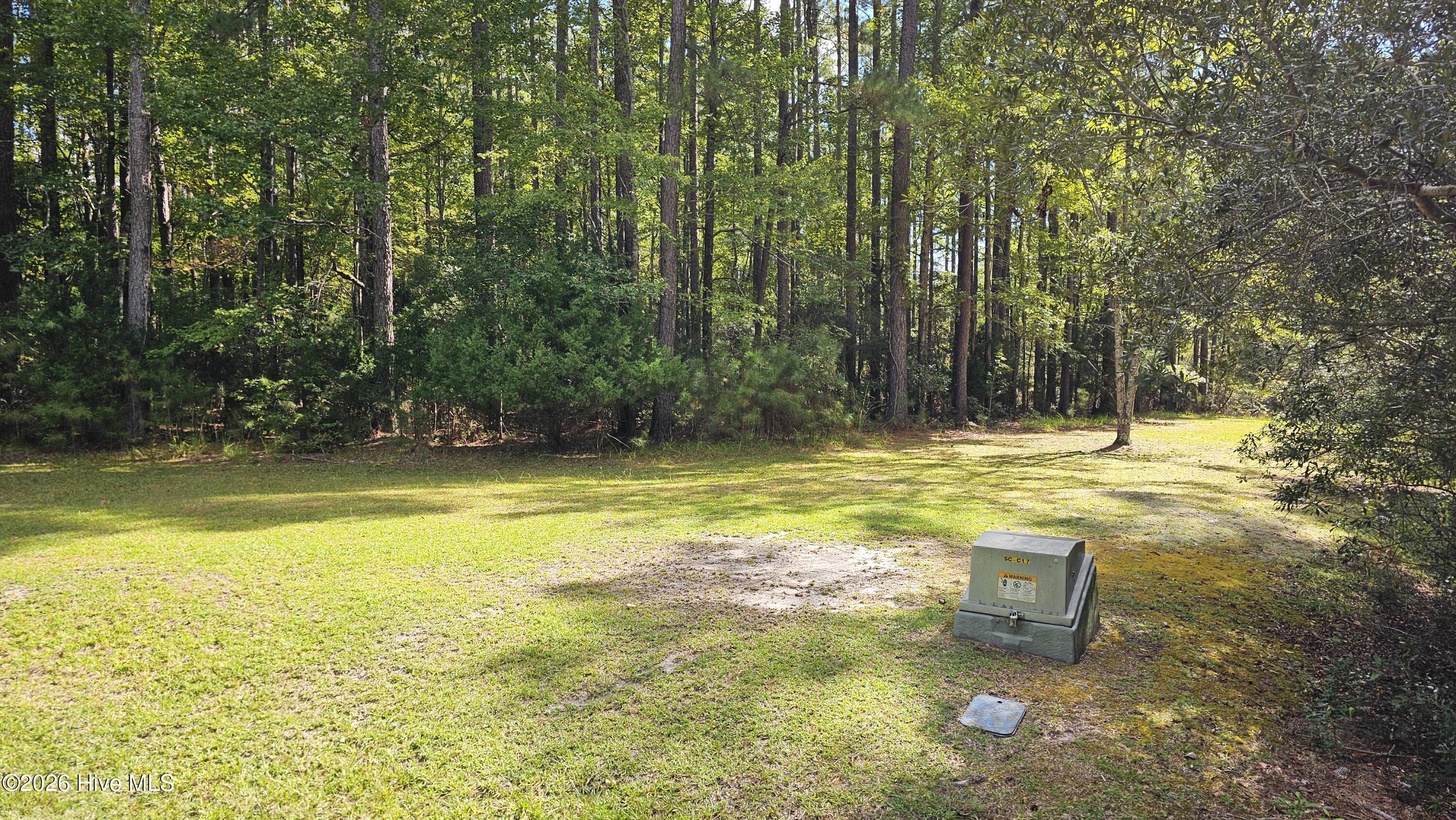 168 Arnetta Way N Property Photo 3