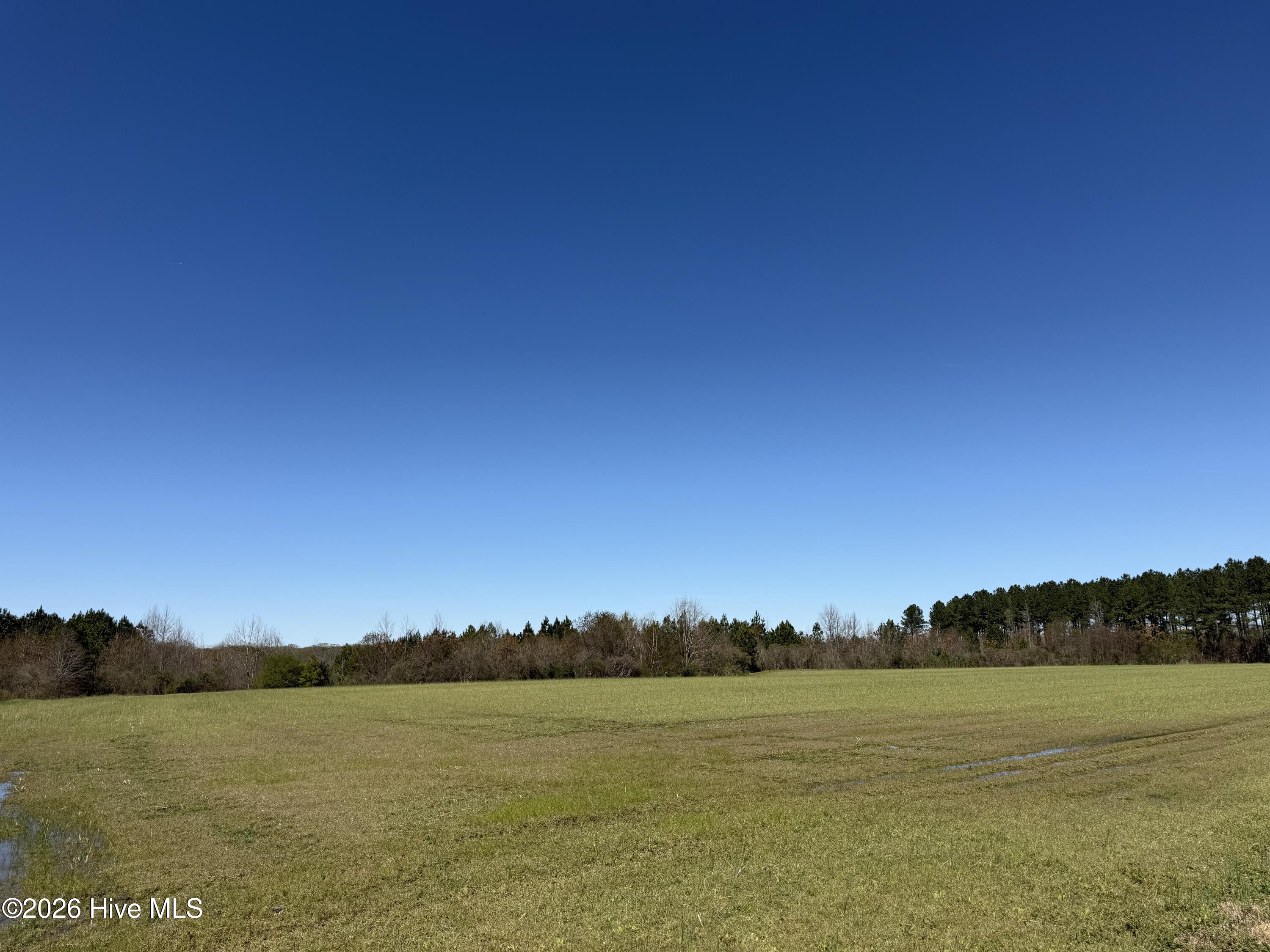 358 Flat Branch Road Property Photo 2