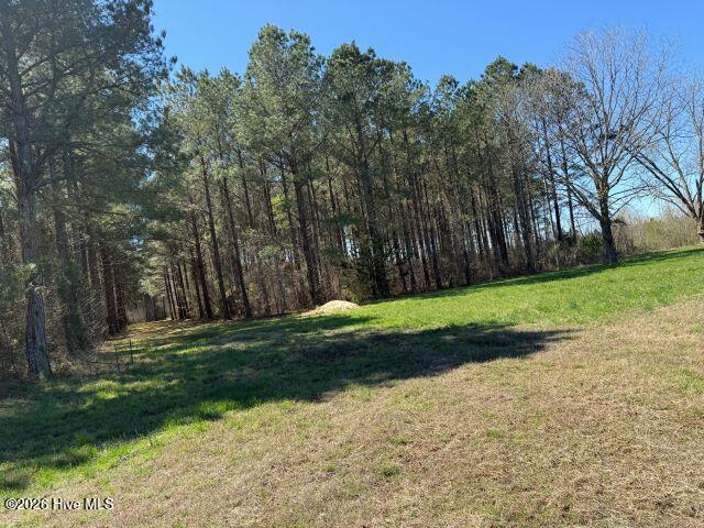 358 Flat Branch Road Property Photo 3