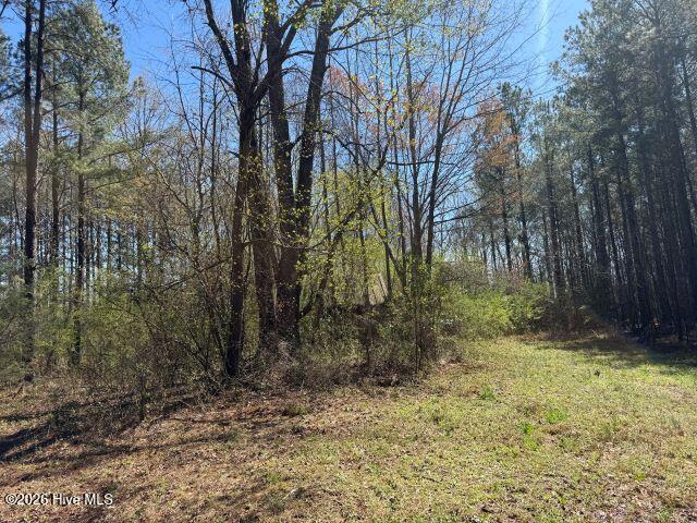 358 Flat Branch Road Property Photo 4