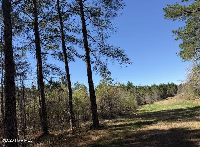 358 Flat Branch Road Property Photo 5