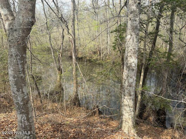 358 Flat Branch Road Property Photo 10