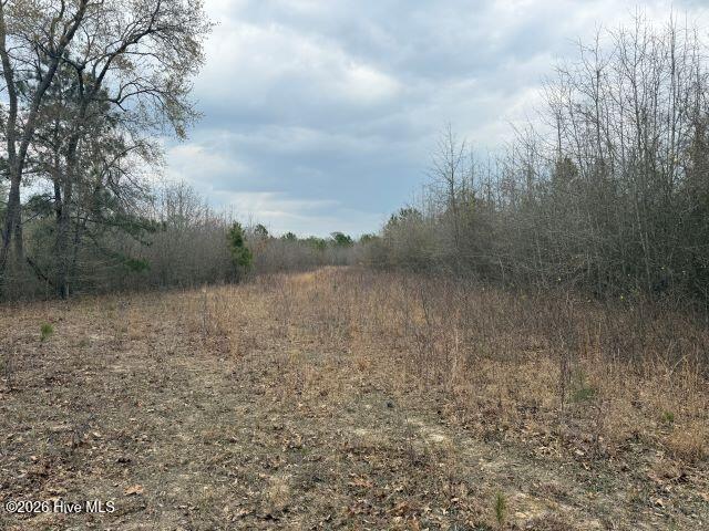 358 Flat Branch Road Property Photo 11