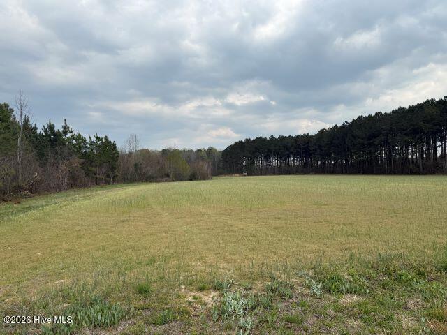 358 Flat Branch Road Property Photo 12