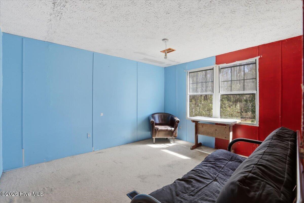 452 Pitt County Line Road Property Photo 17
