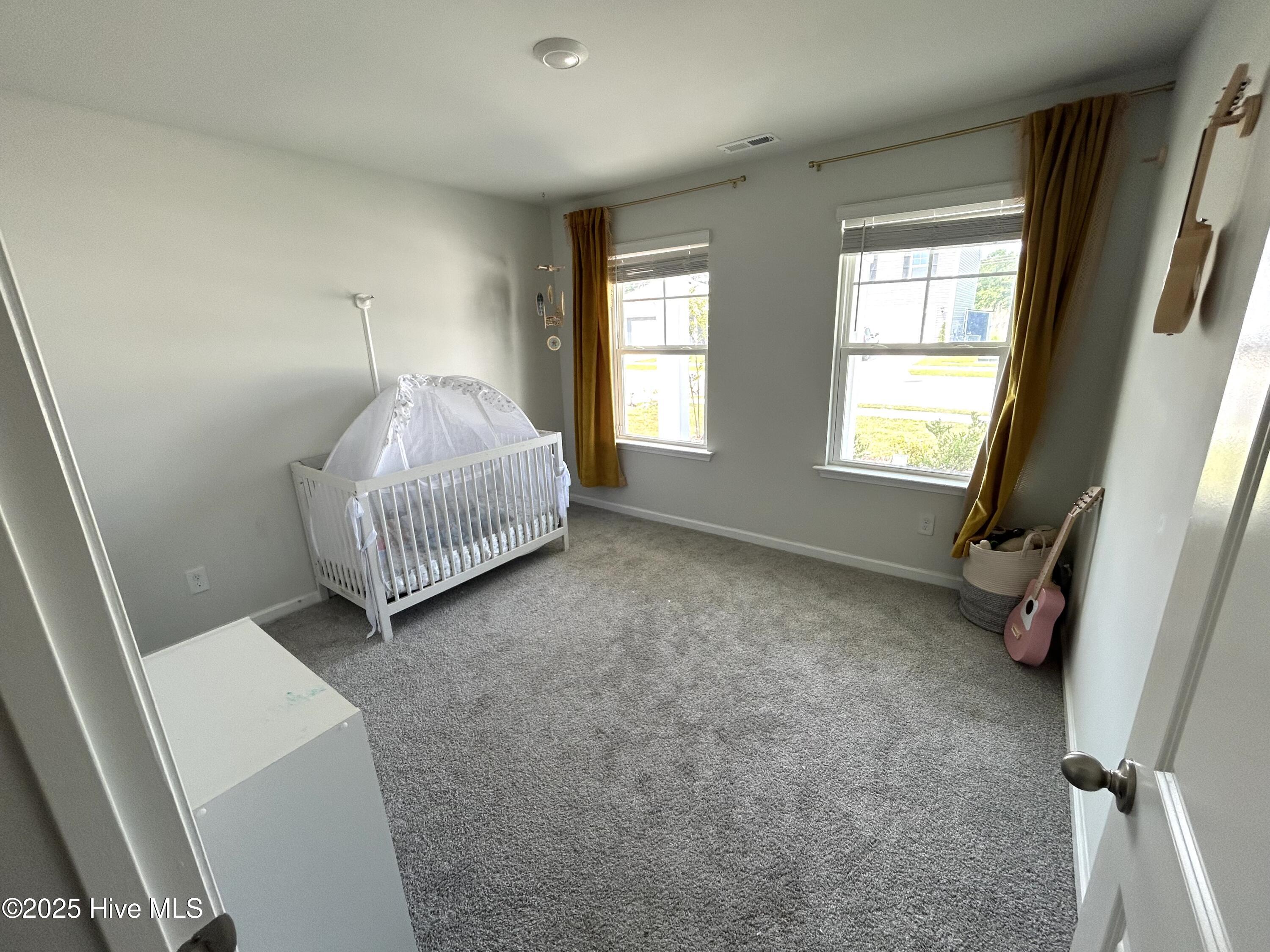 1146 King Eider Way Property Photo 3