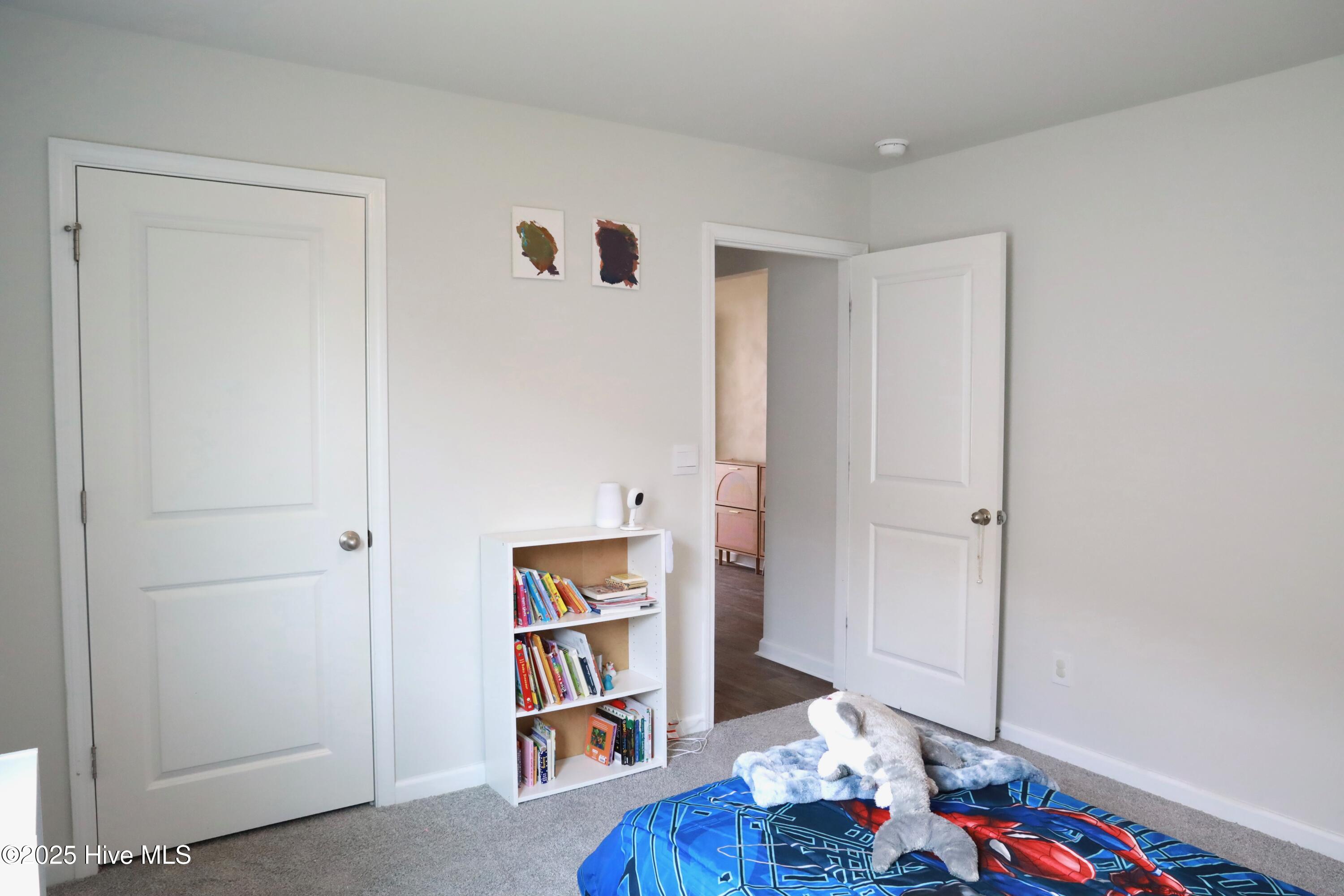 1146 King Eider Way Property Photo 6