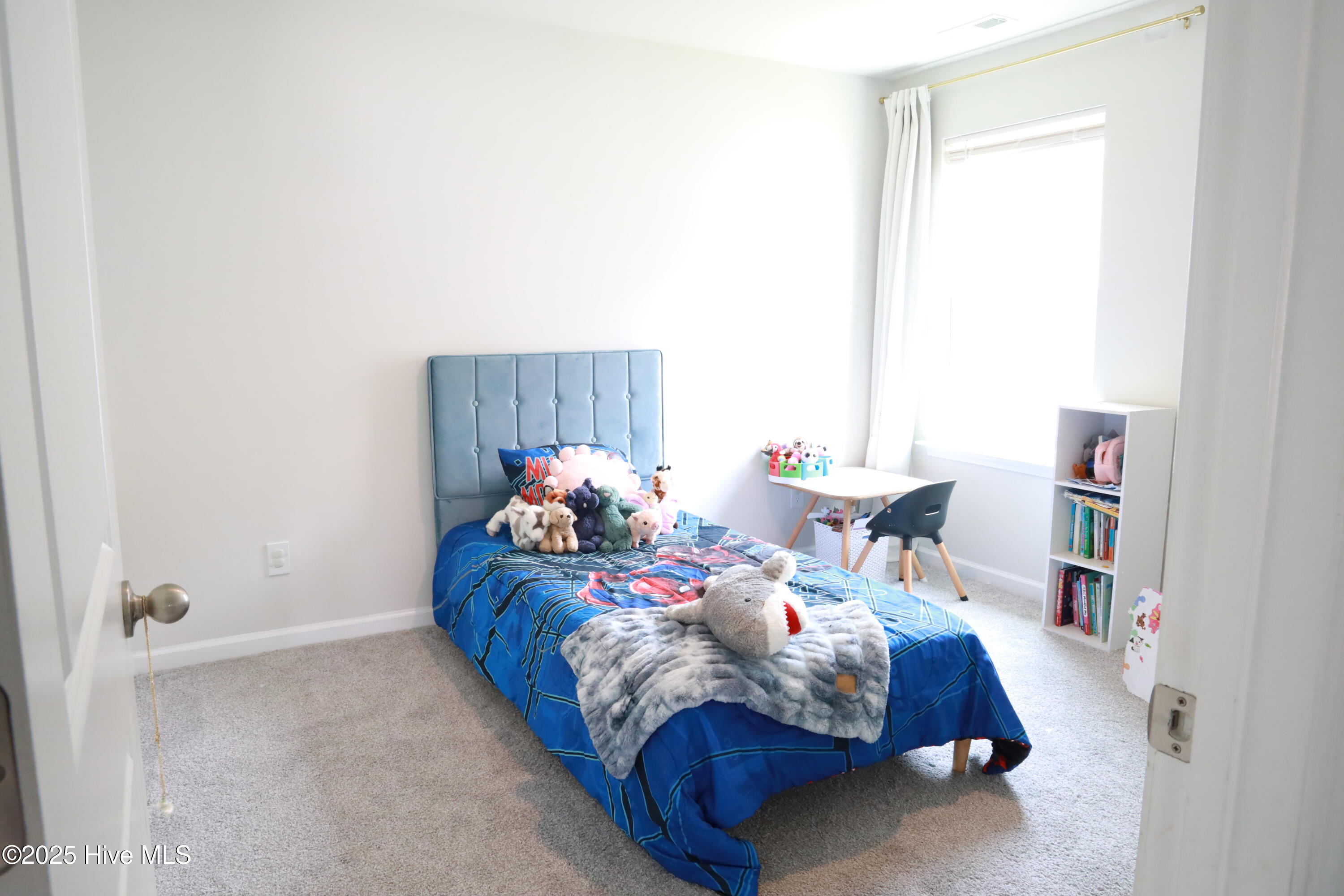 1146 King Eider Way Property Photo 7