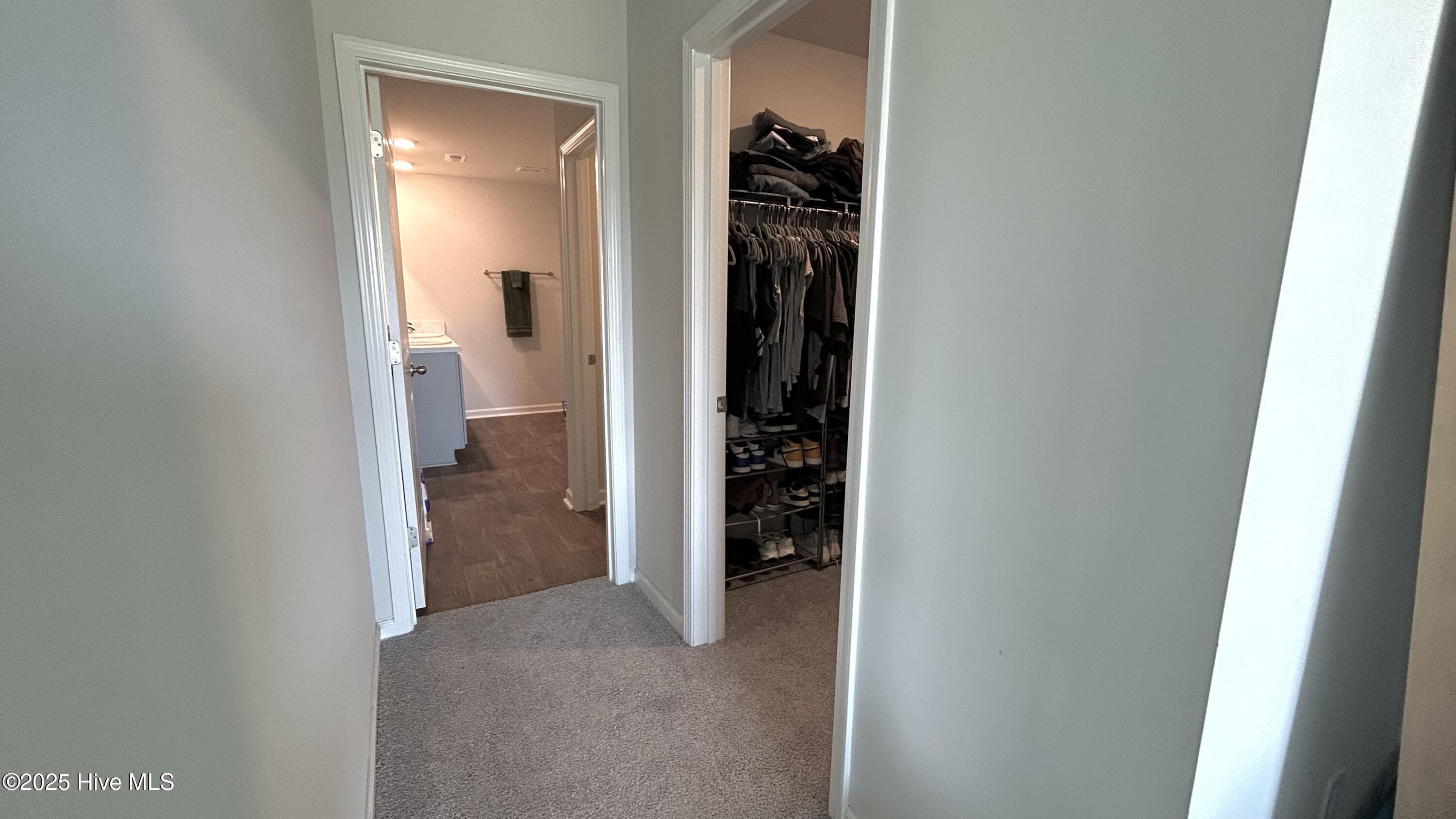 1146 King Eider Way Property Photo 18