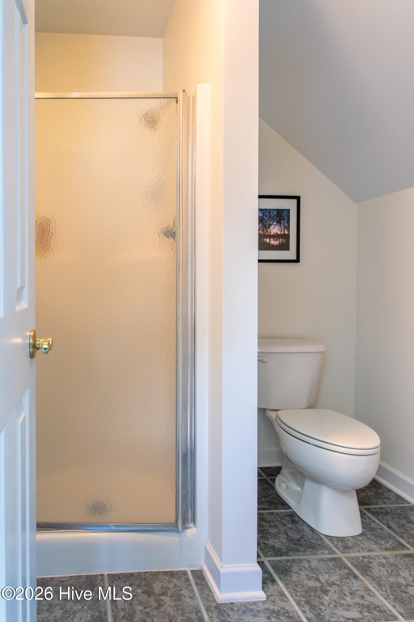 114 S Fork Court Property Photo 56