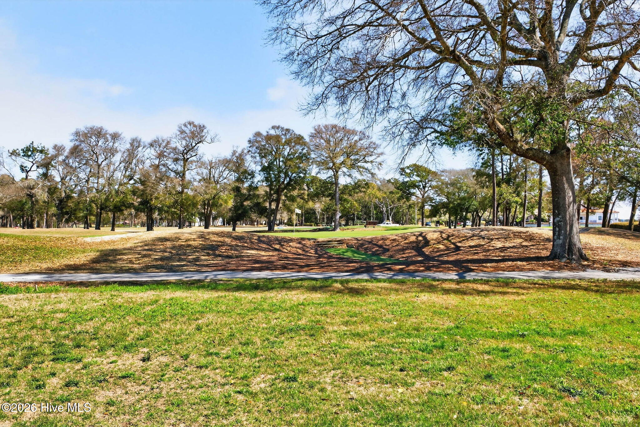 2086 Greenside Manor Drive Sw Property Photo 58