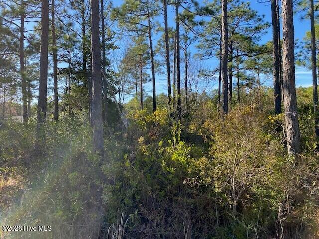 Lot 79 Sunset Drive Property Photo 2