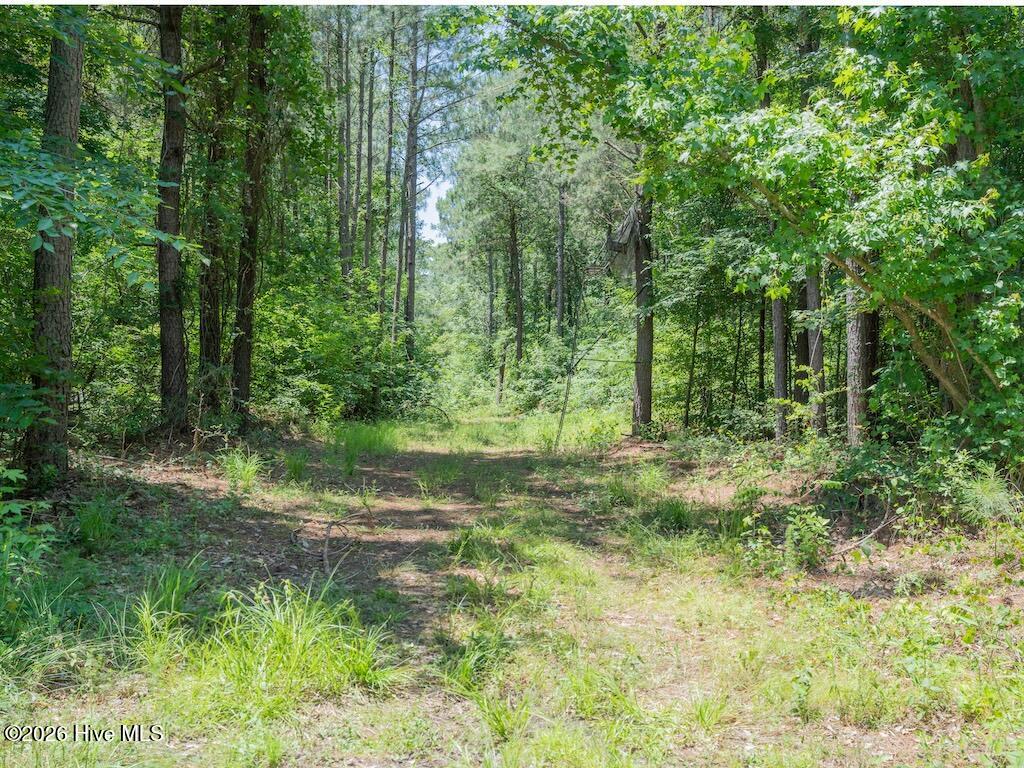 00 Highway 42 Property Photo 25
