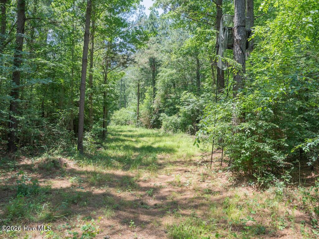 00 Highway 42 Property Photo 26