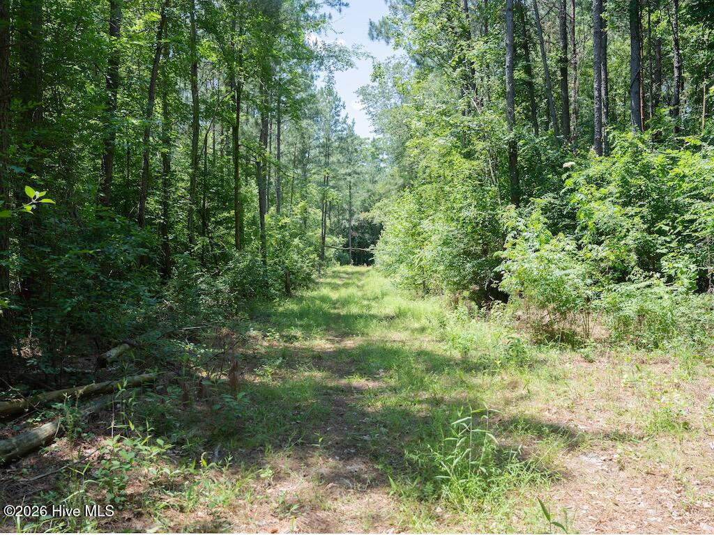 00 Highway 42 Property Photo 27