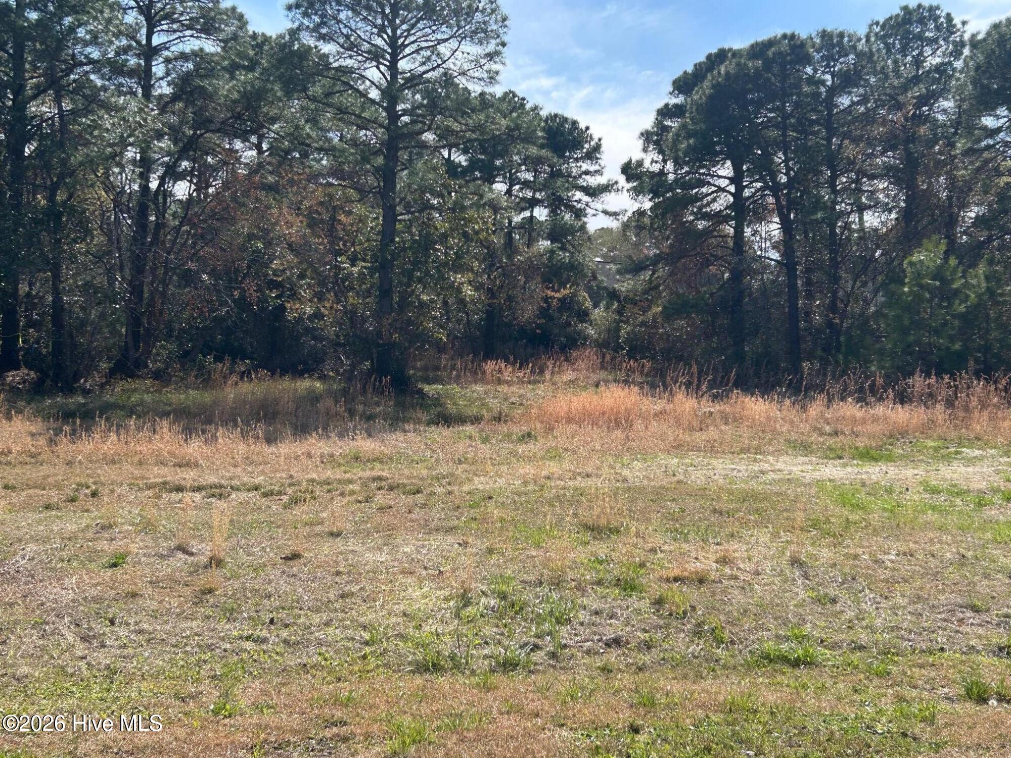 1609 Caracara Drive Property Photo 2