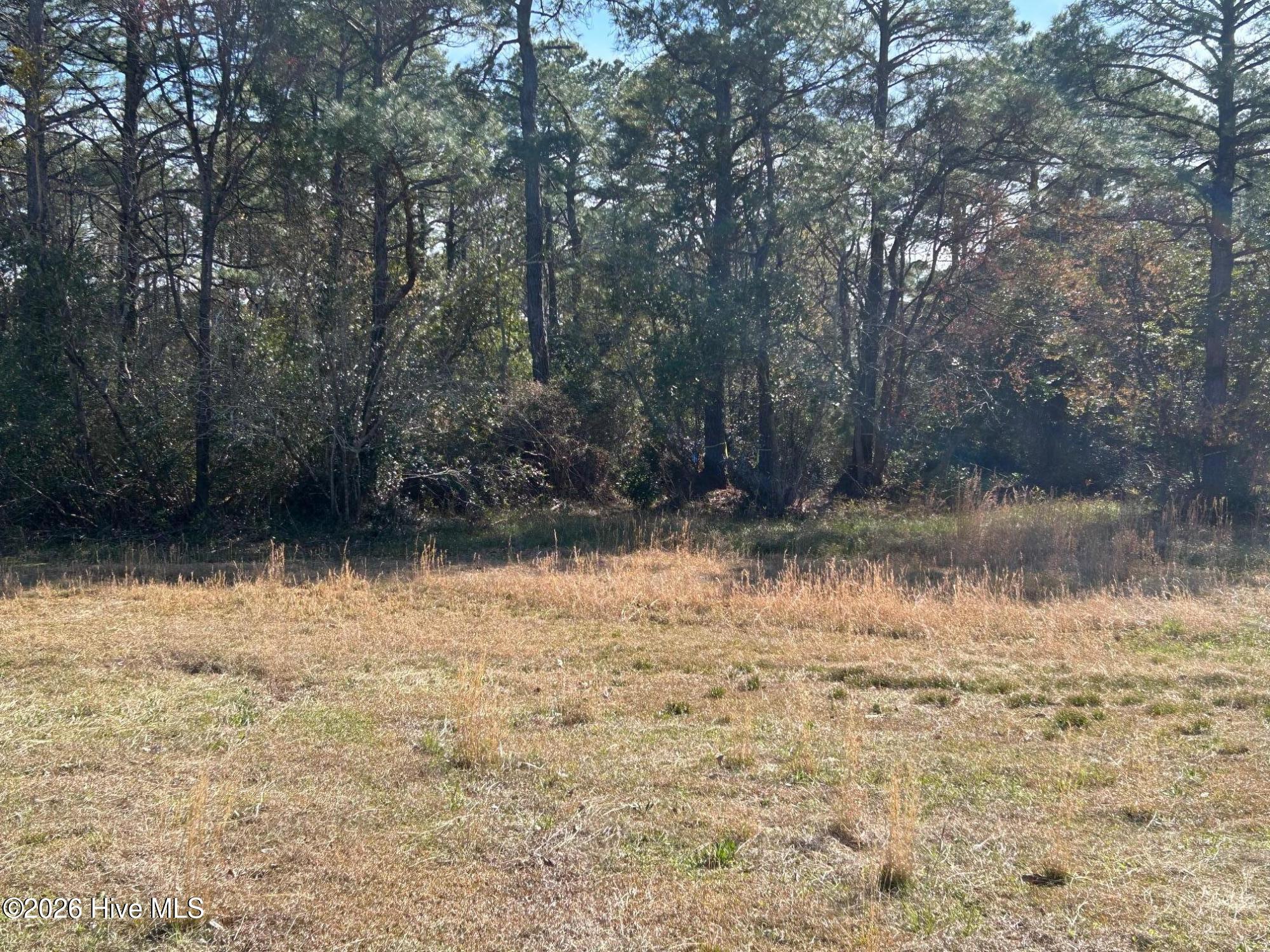 1609 Caracara Drive Property Photo 3
