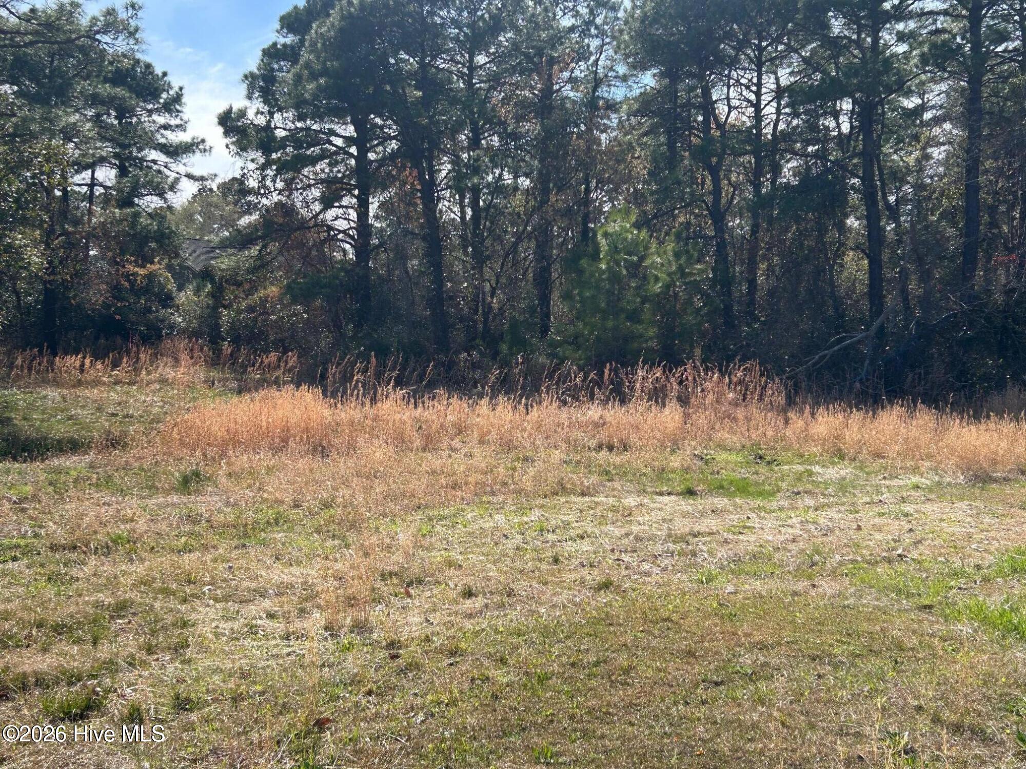 1609 Caracara Drive Property Photo 4
