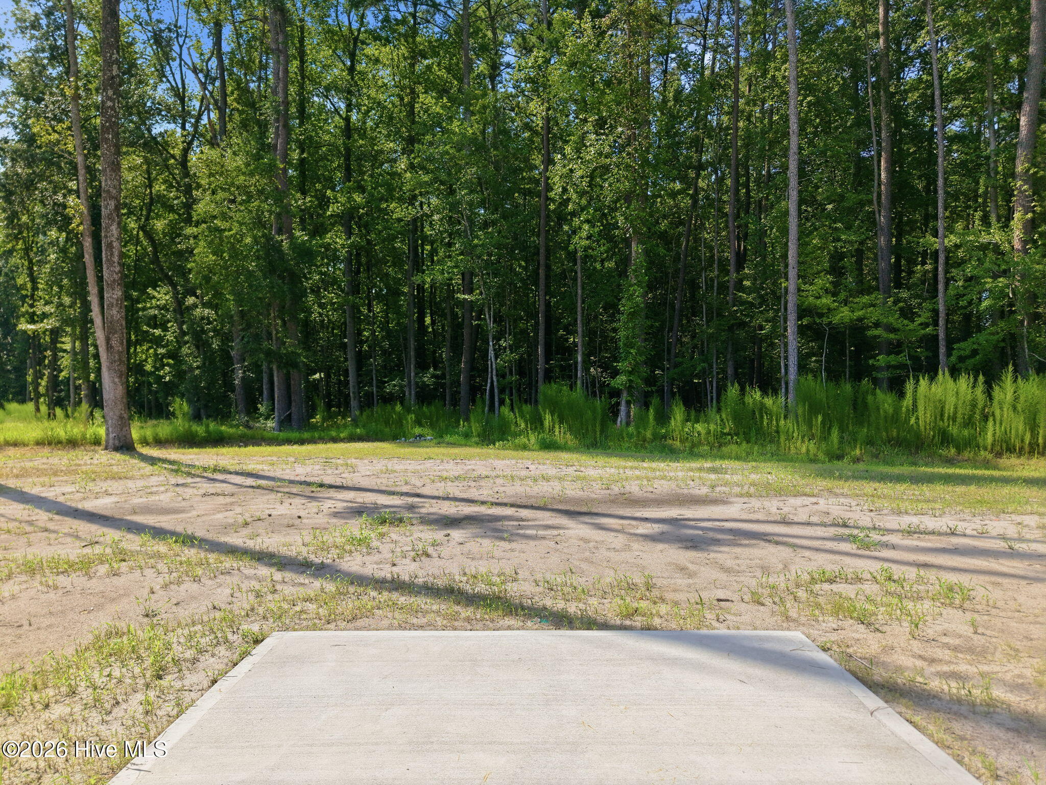 4206 Tinsley Court Property Photo 10