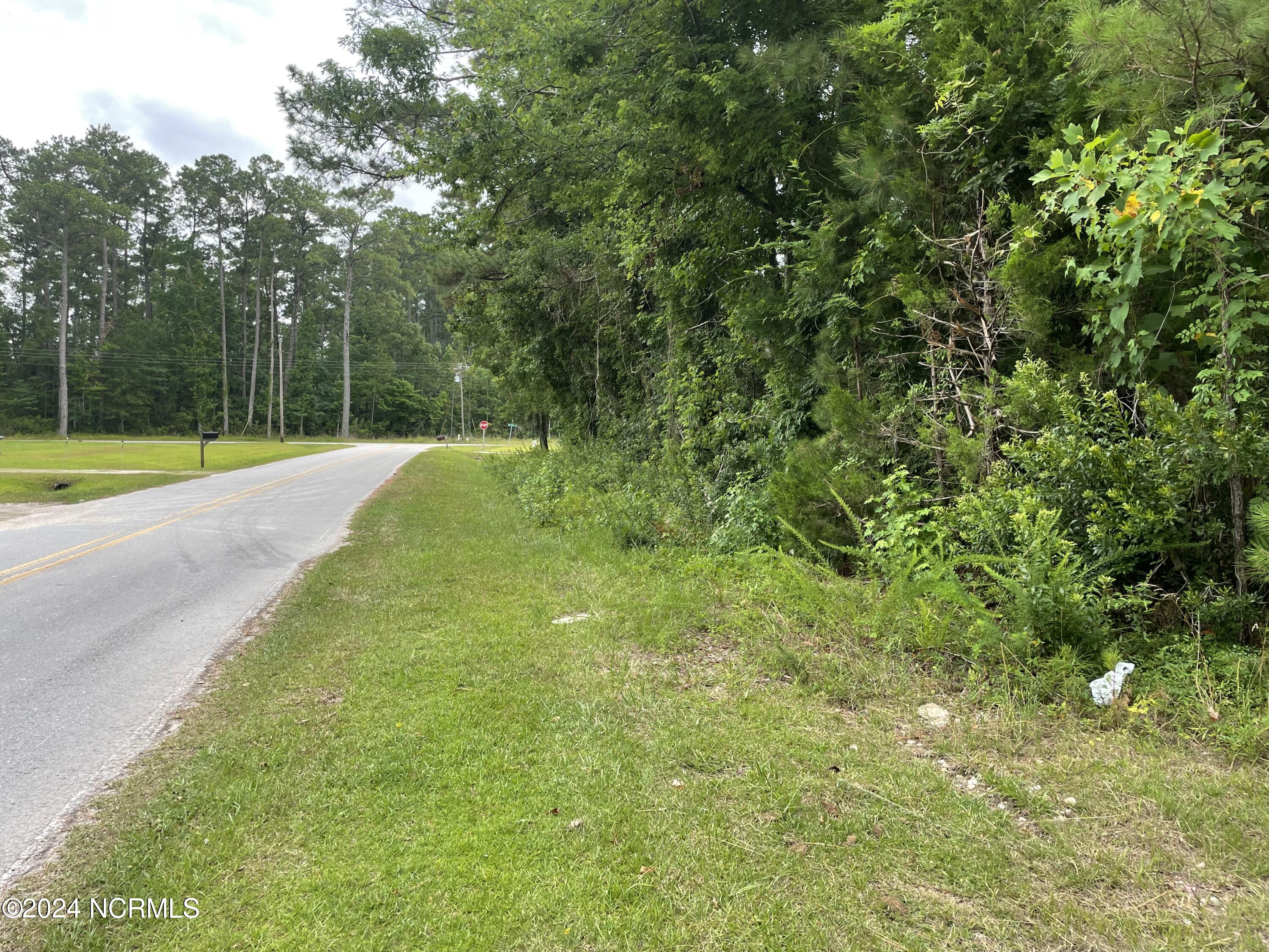 117 Deer Trail Property Photo 5