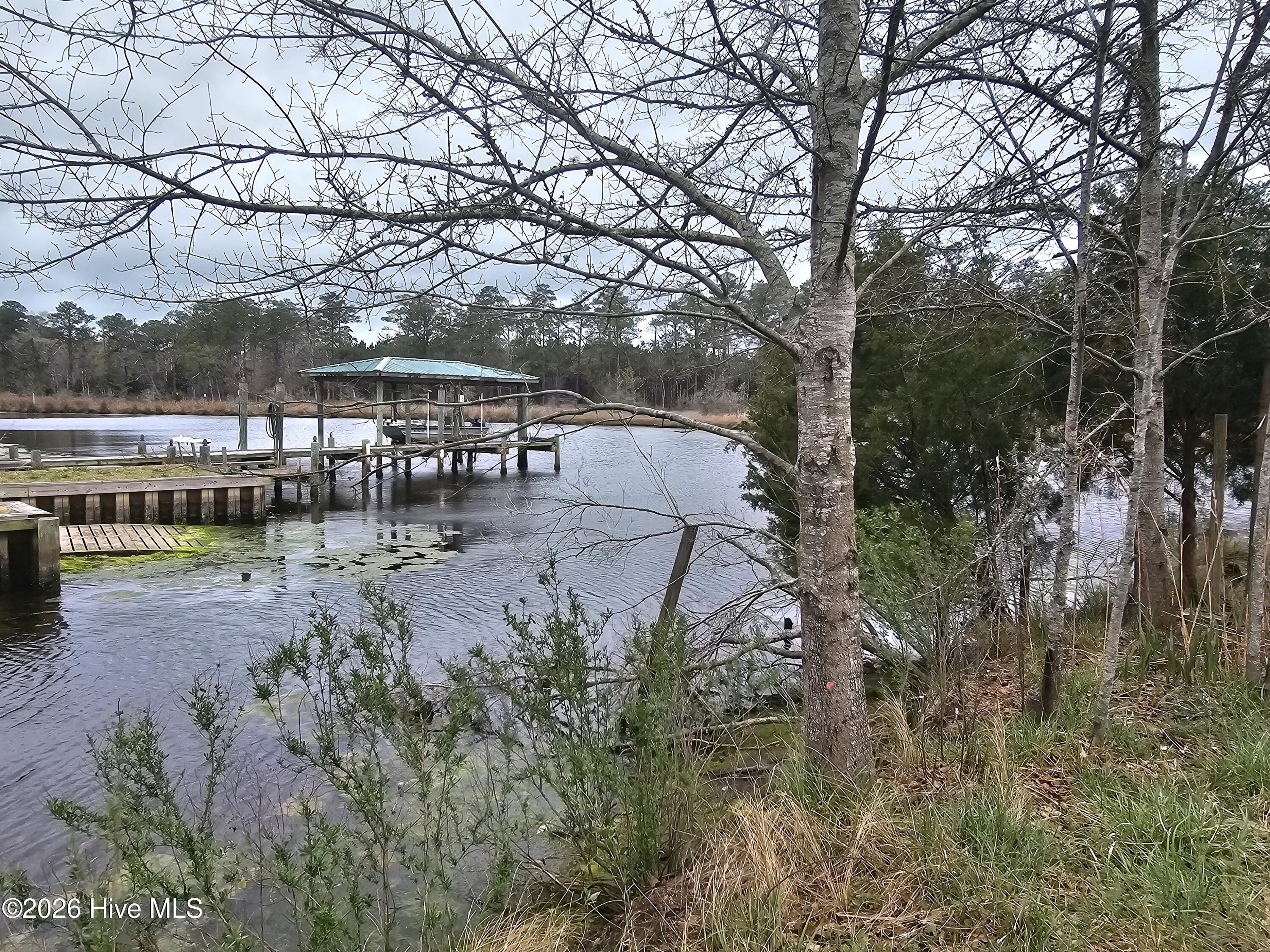 251 Alligator Loop Road Property Photo 2