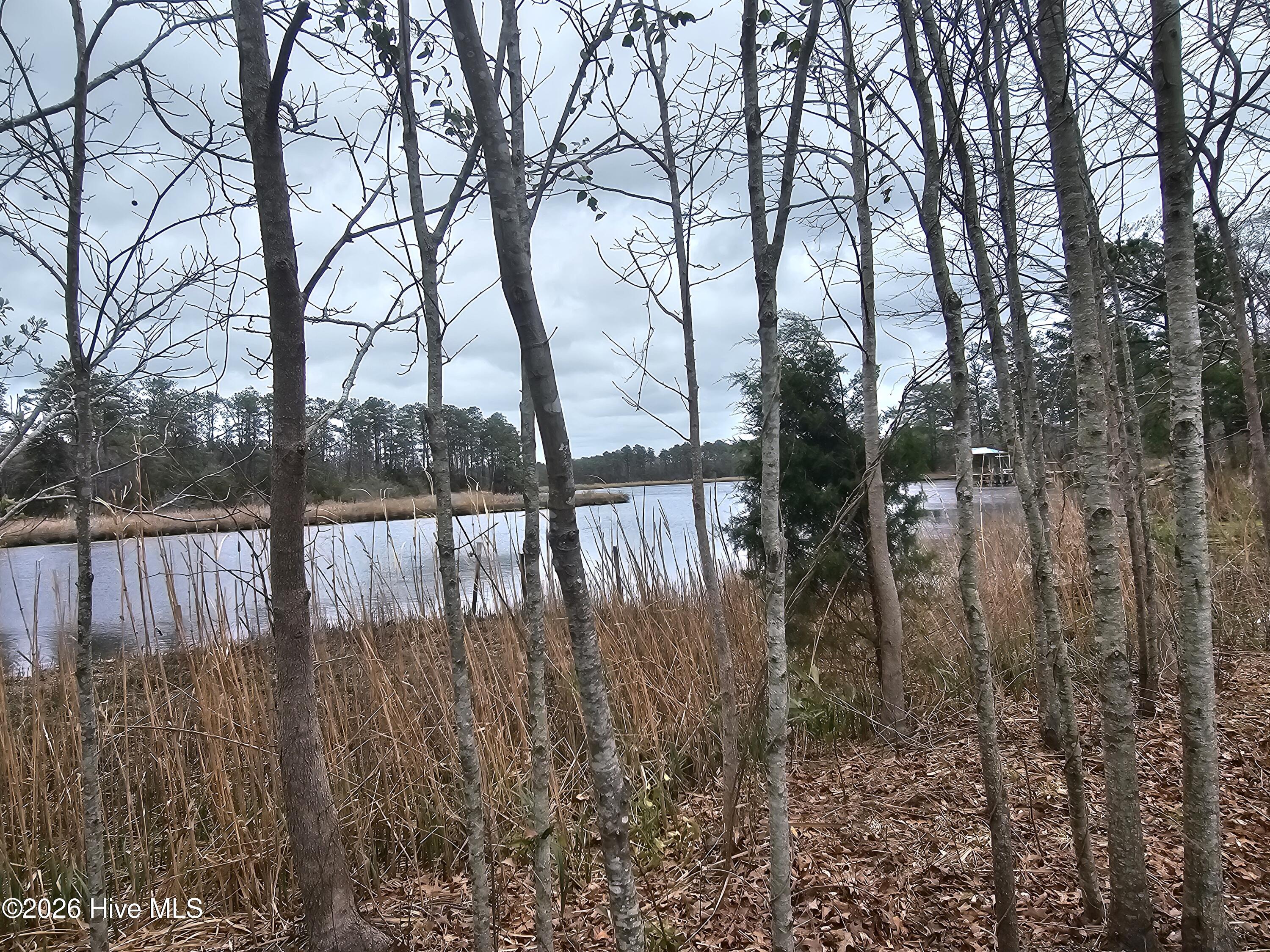 251 Alligator Loop Road Property Photo 3