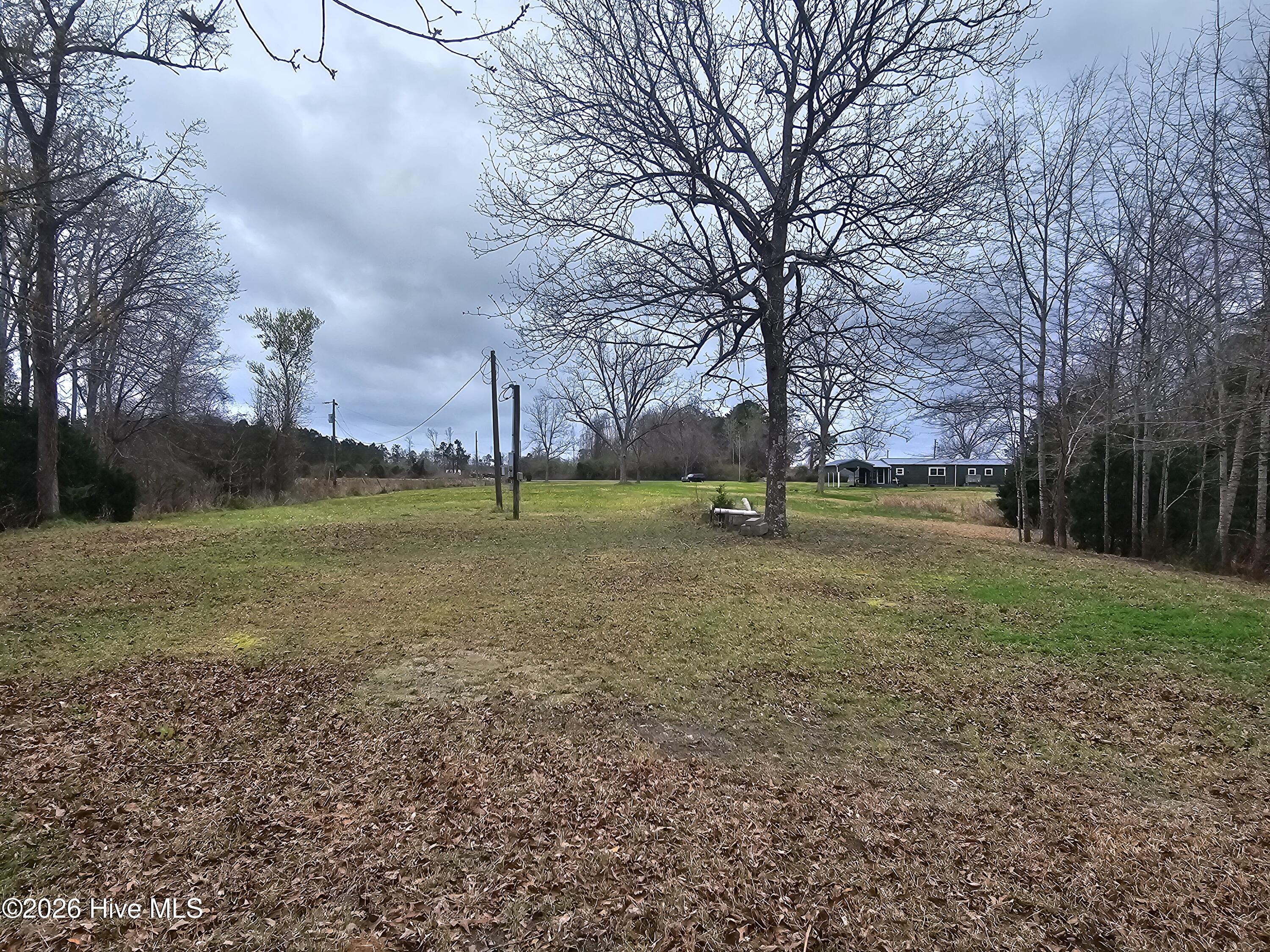 251 Alligator Loop Road Property Photo 4