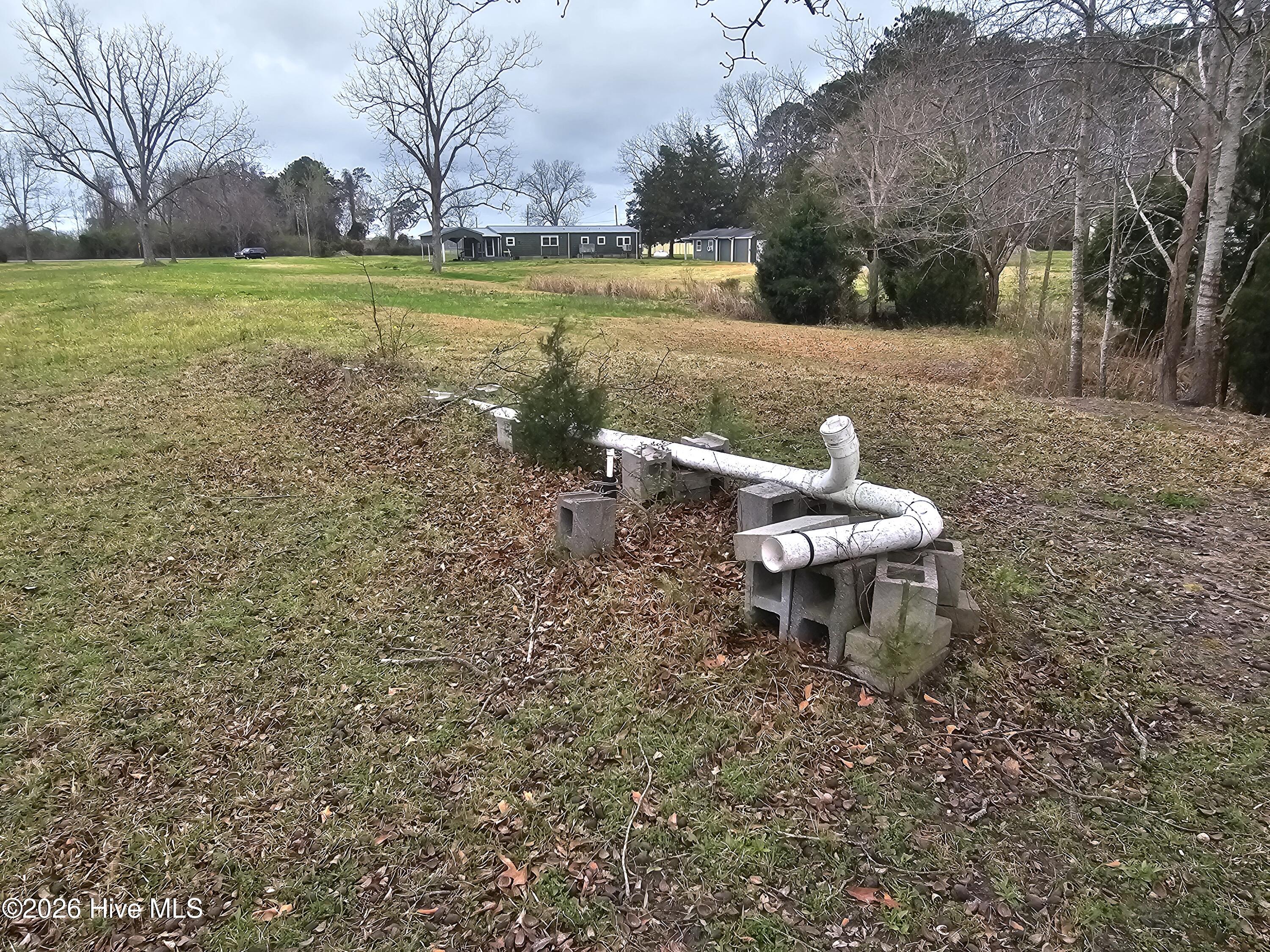 251 Alligator Loop Road Property Photo 6