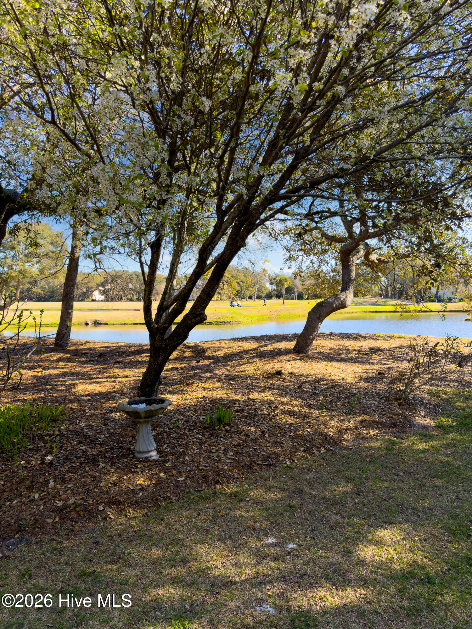 86 Foxfire Trace Property Photo 53
