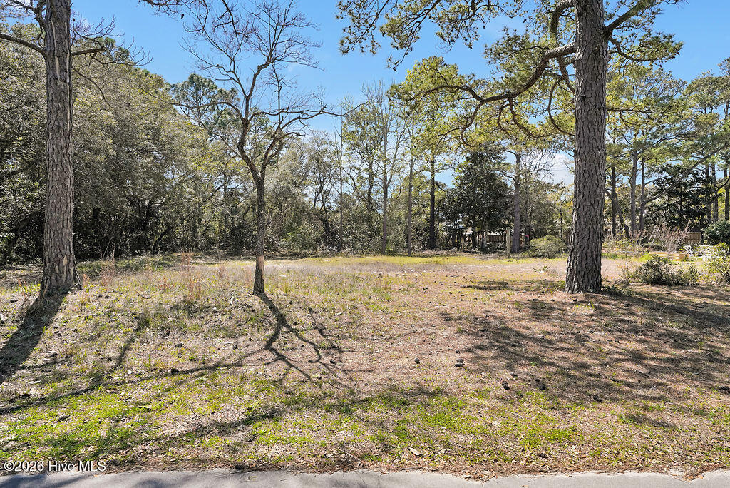 809 Monroe Avenue Property Photo 1