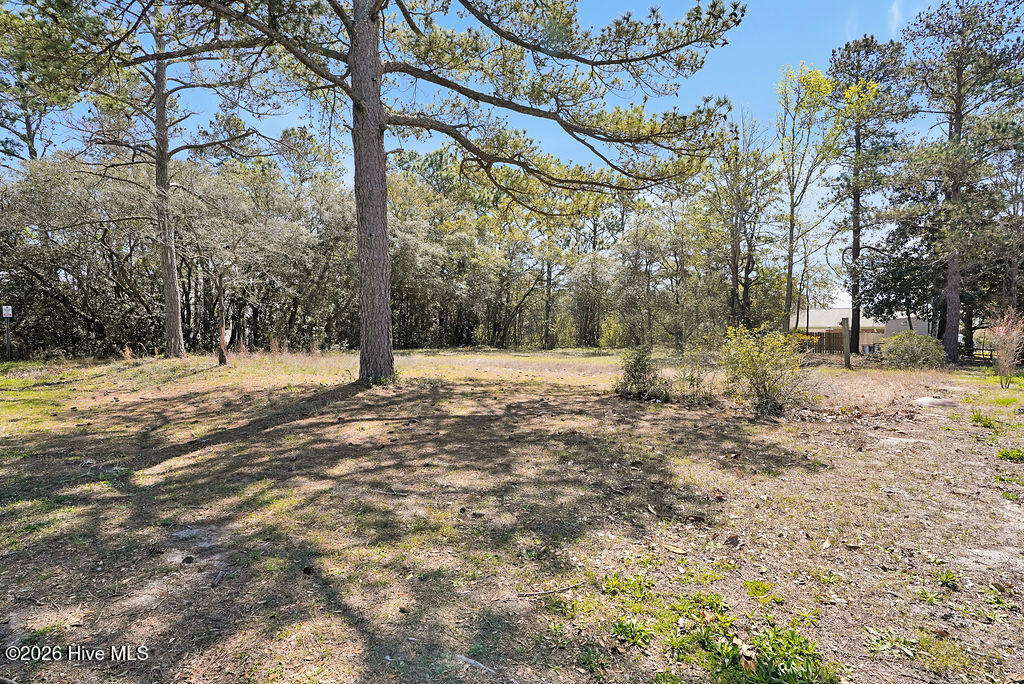 809 Monroe Avenue Property Photo 2