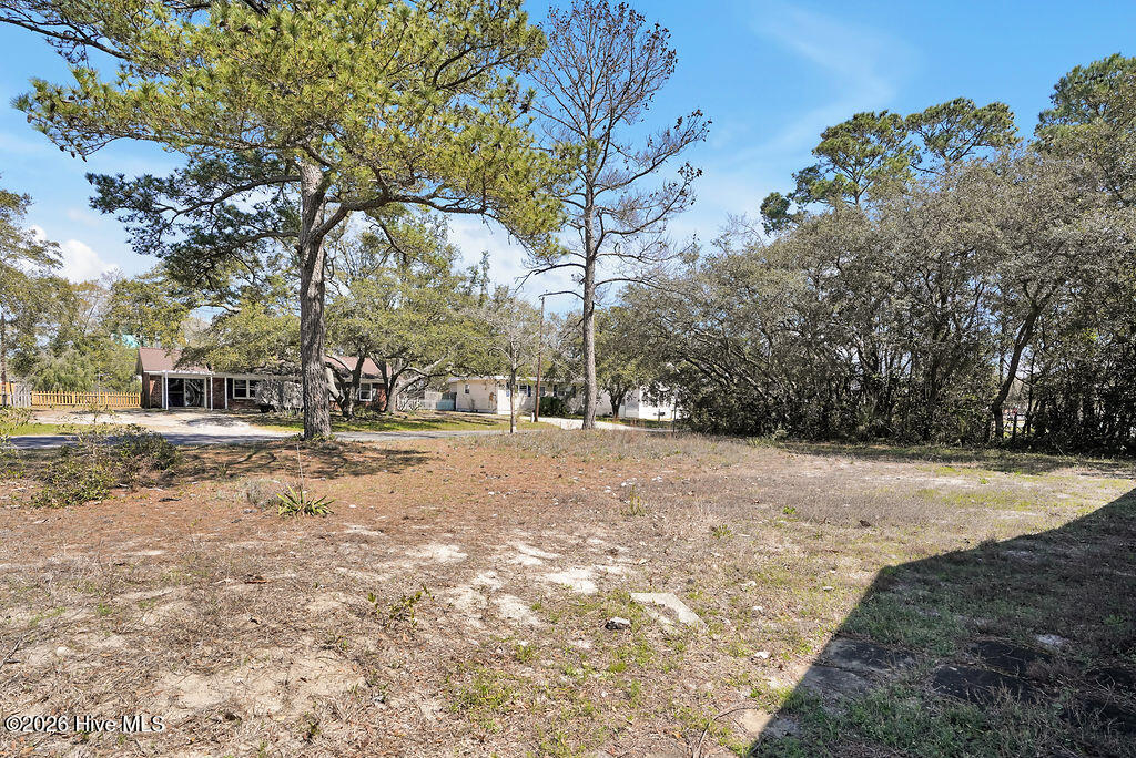 809 Monroe Avenue Property Photo 3