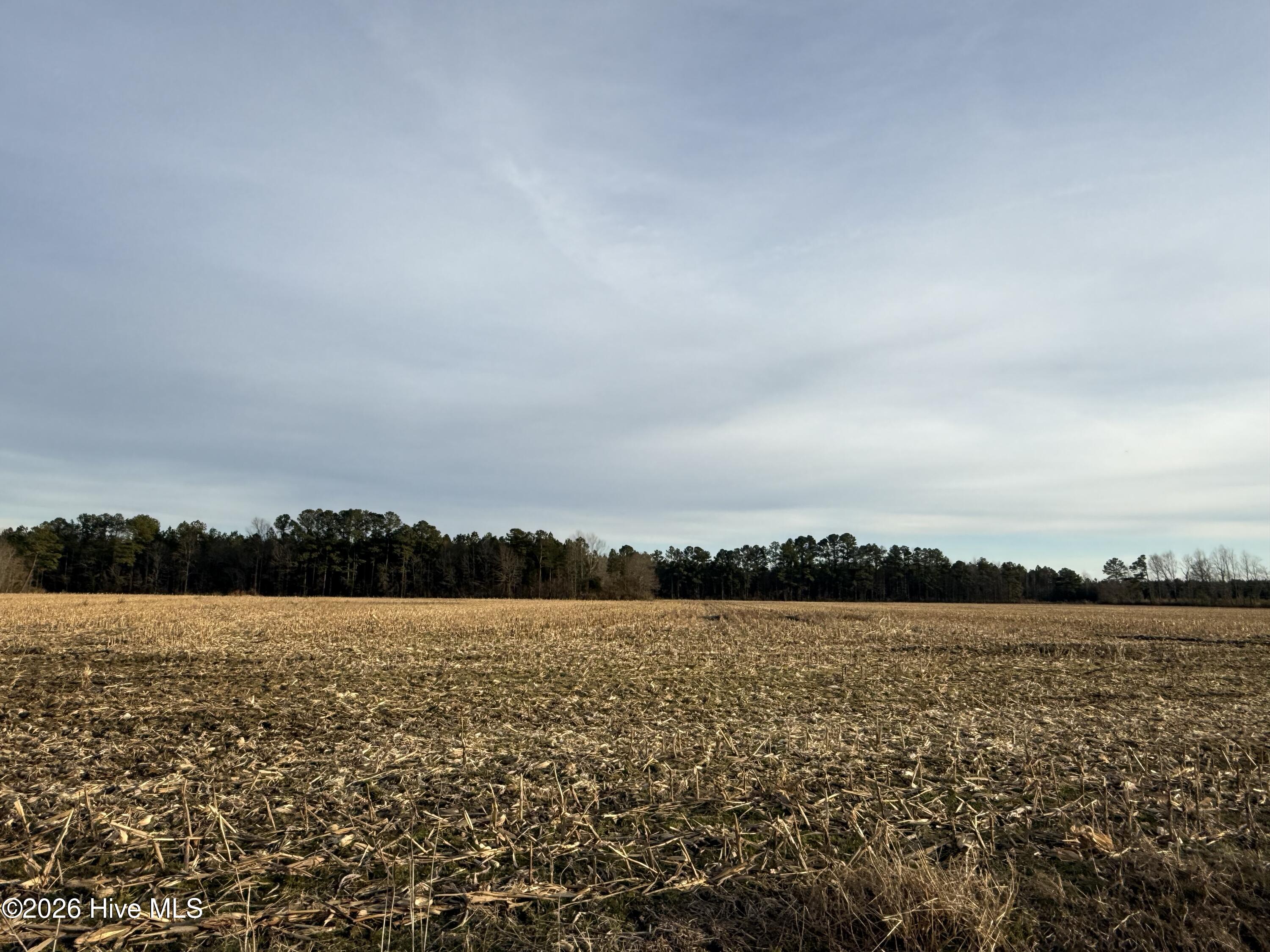Lot 22 22 Beasley Road Property Photo 1