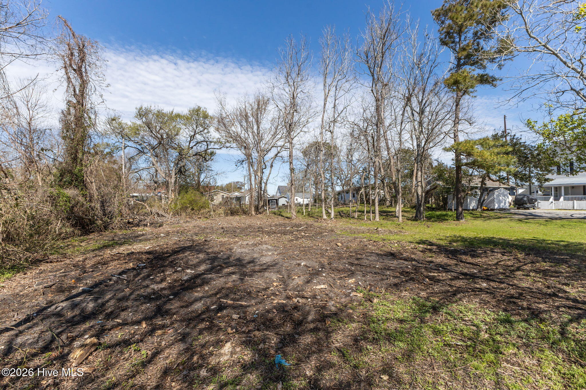 309 Pollock Street Property Photo 6