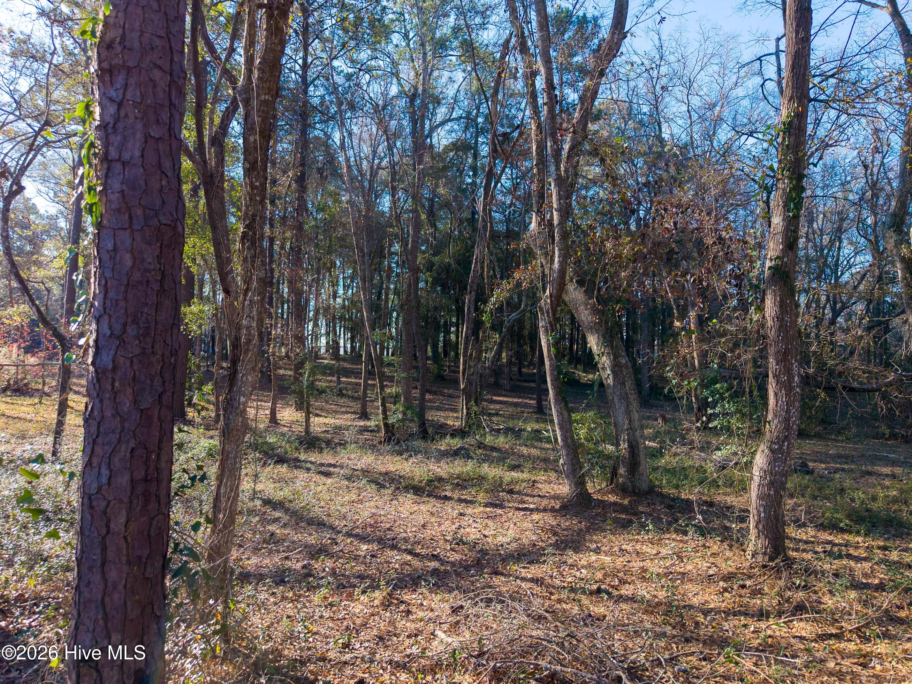 9017 64 Ocean Harbour Golf Club Drive Sw Property Photo 10