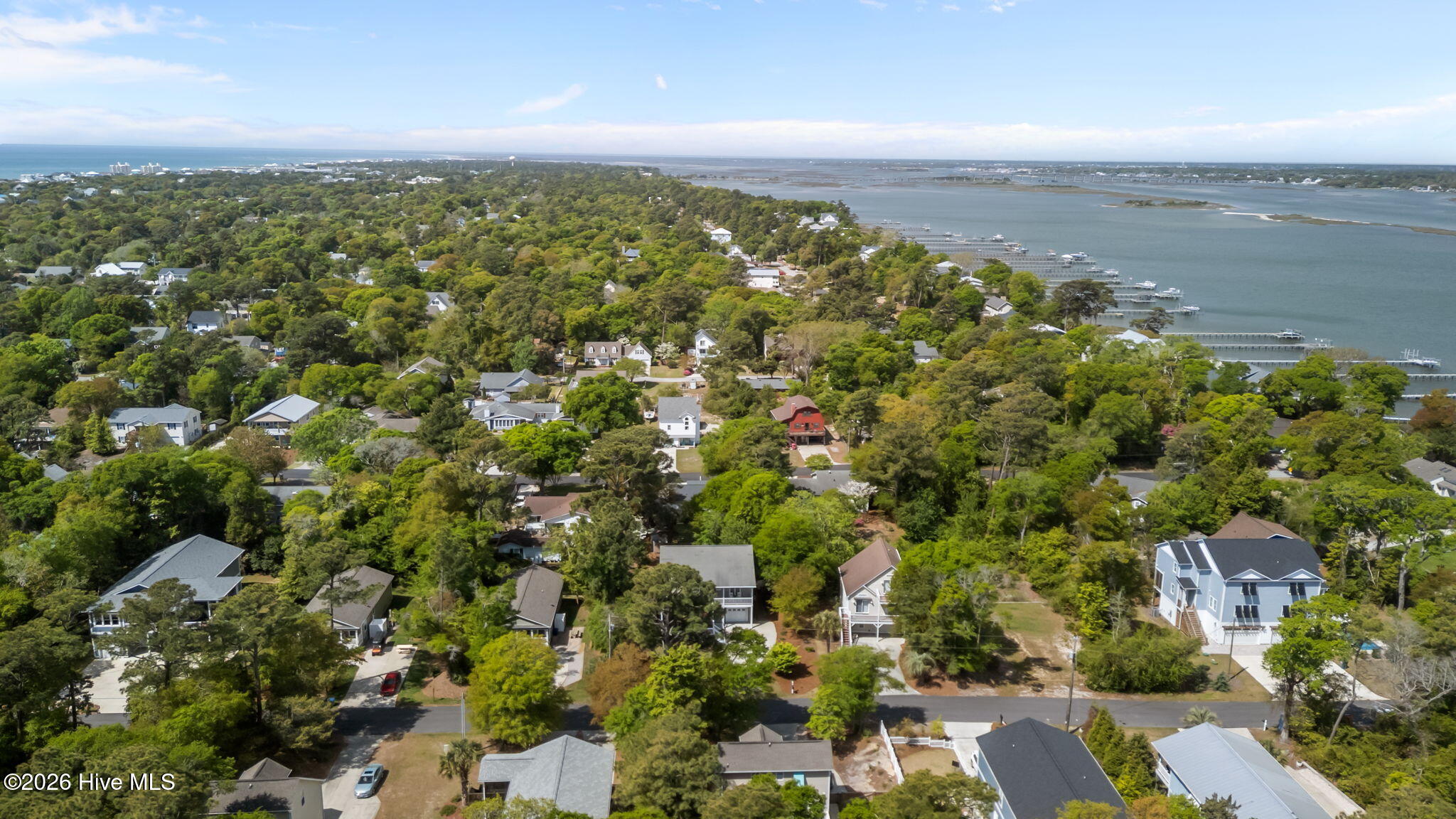325 Live Oak Street Property Photo 46