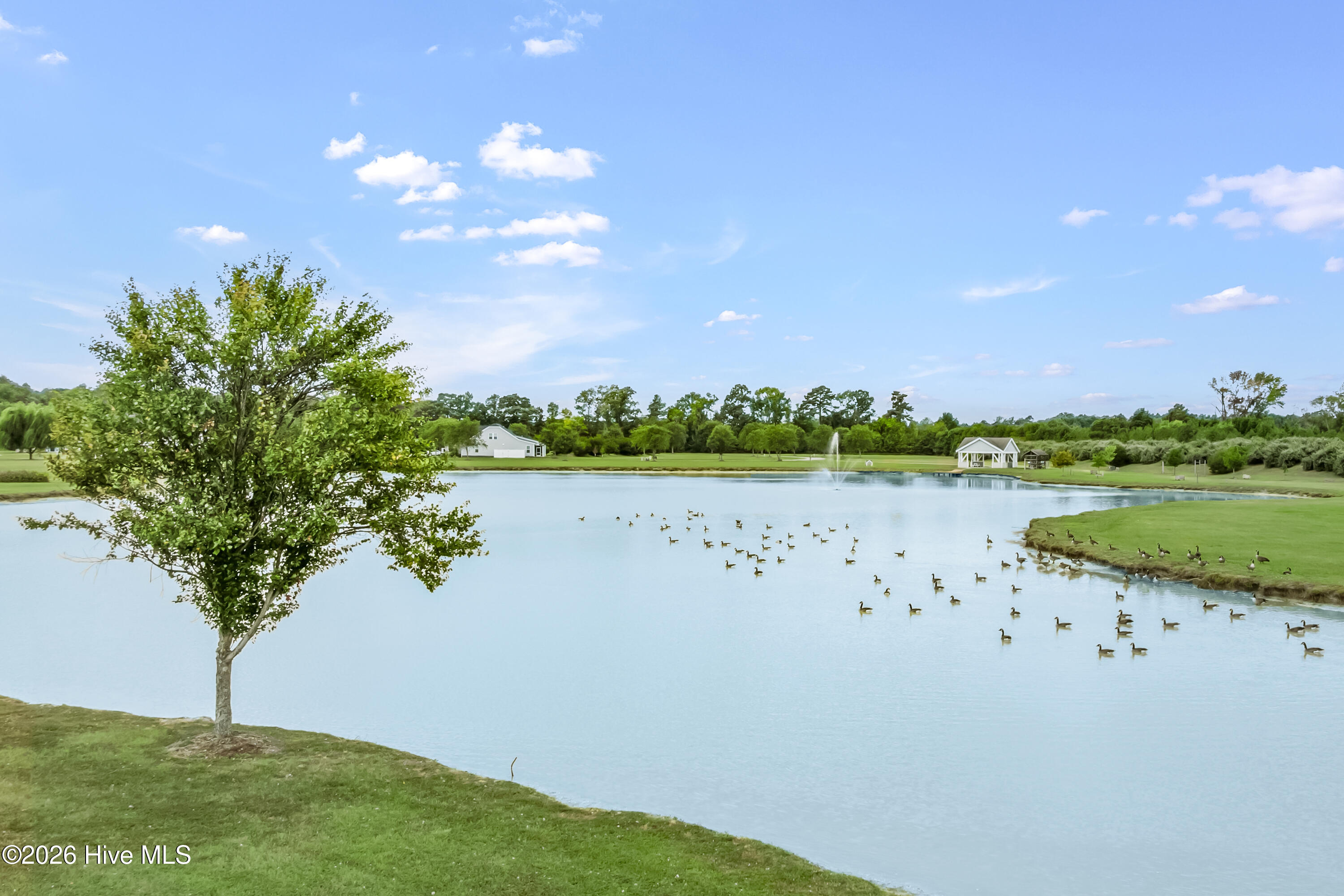 138 Broad River Drive Property Photo 15