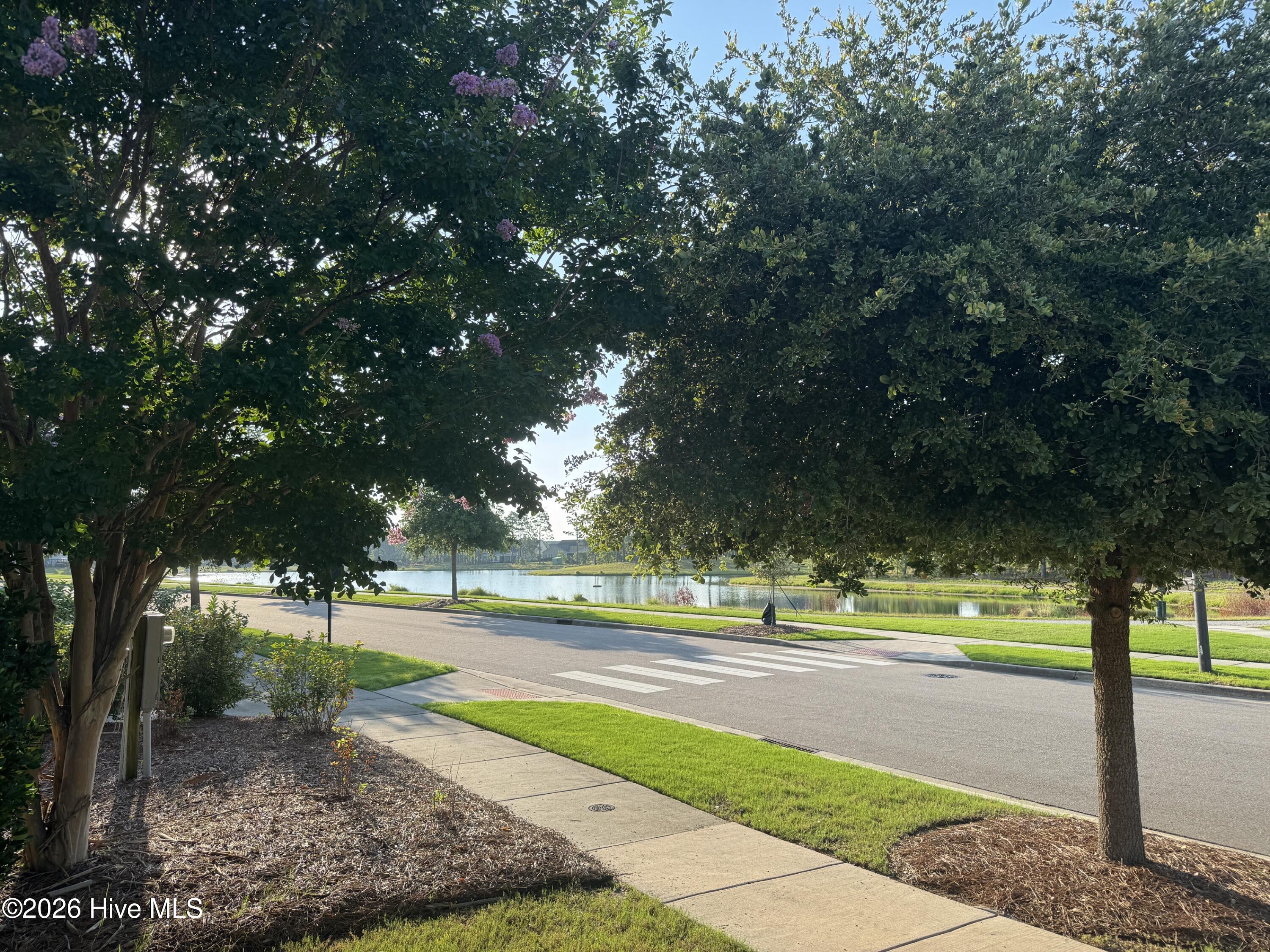 4100 Passerine Avenue Property Photo 3