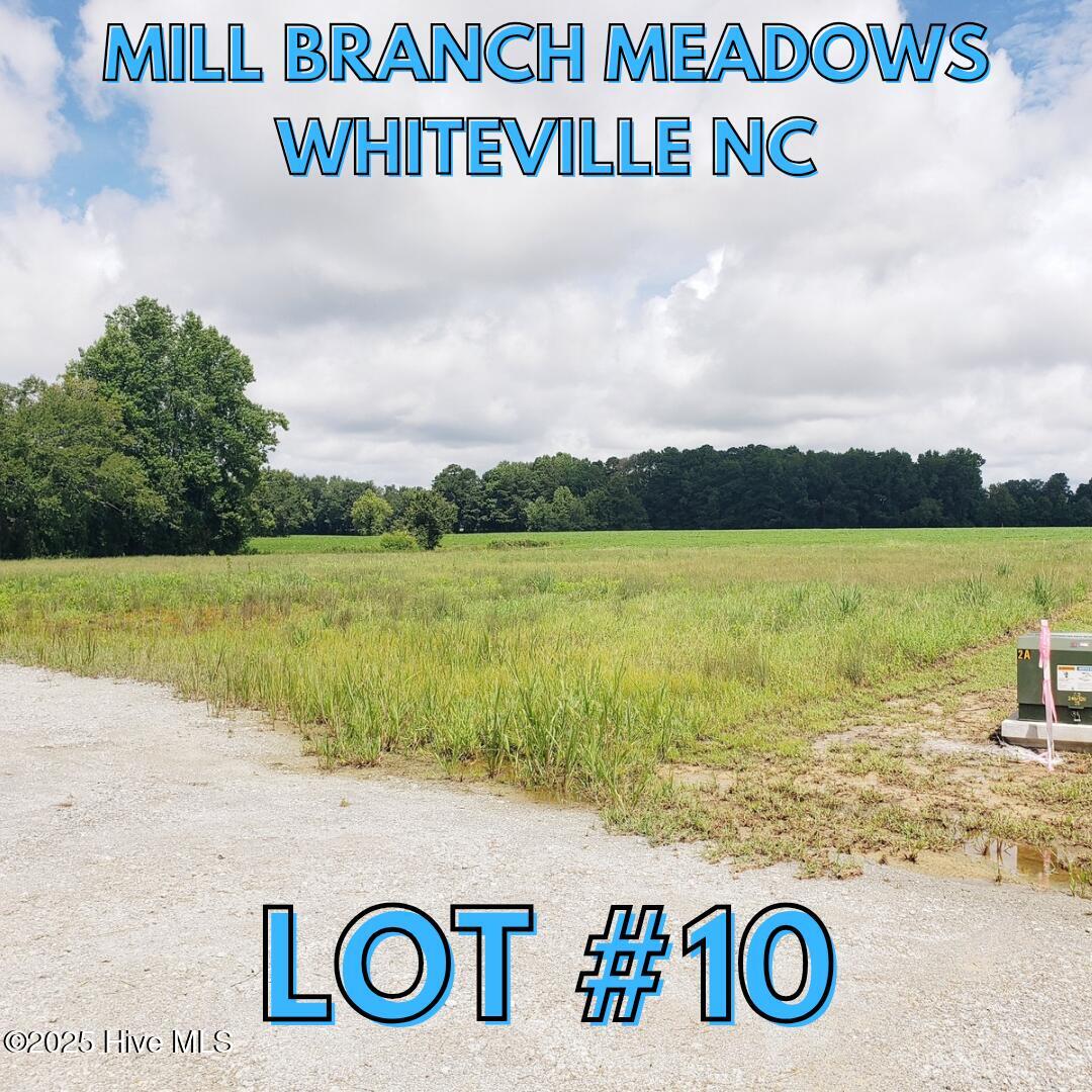 104 10 Mill Branch Drive Property Photo 1