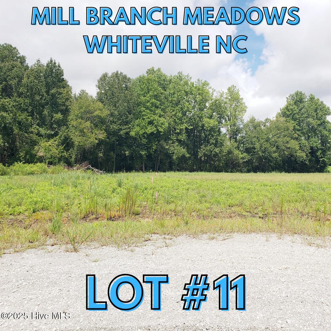 112 11 Mill Branch Drive Property Photo 1