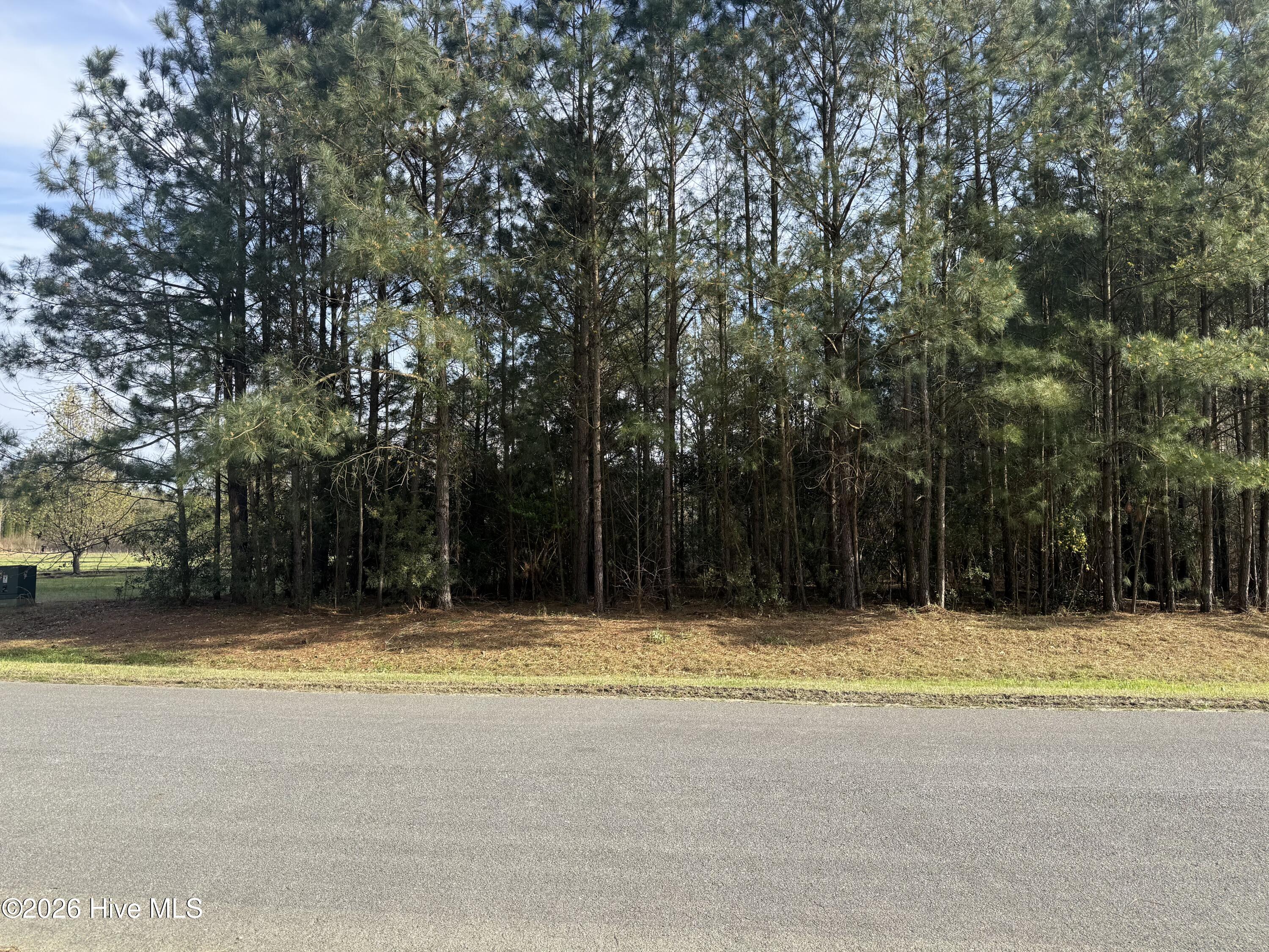 257 Stillwater Drive Property Photo 18