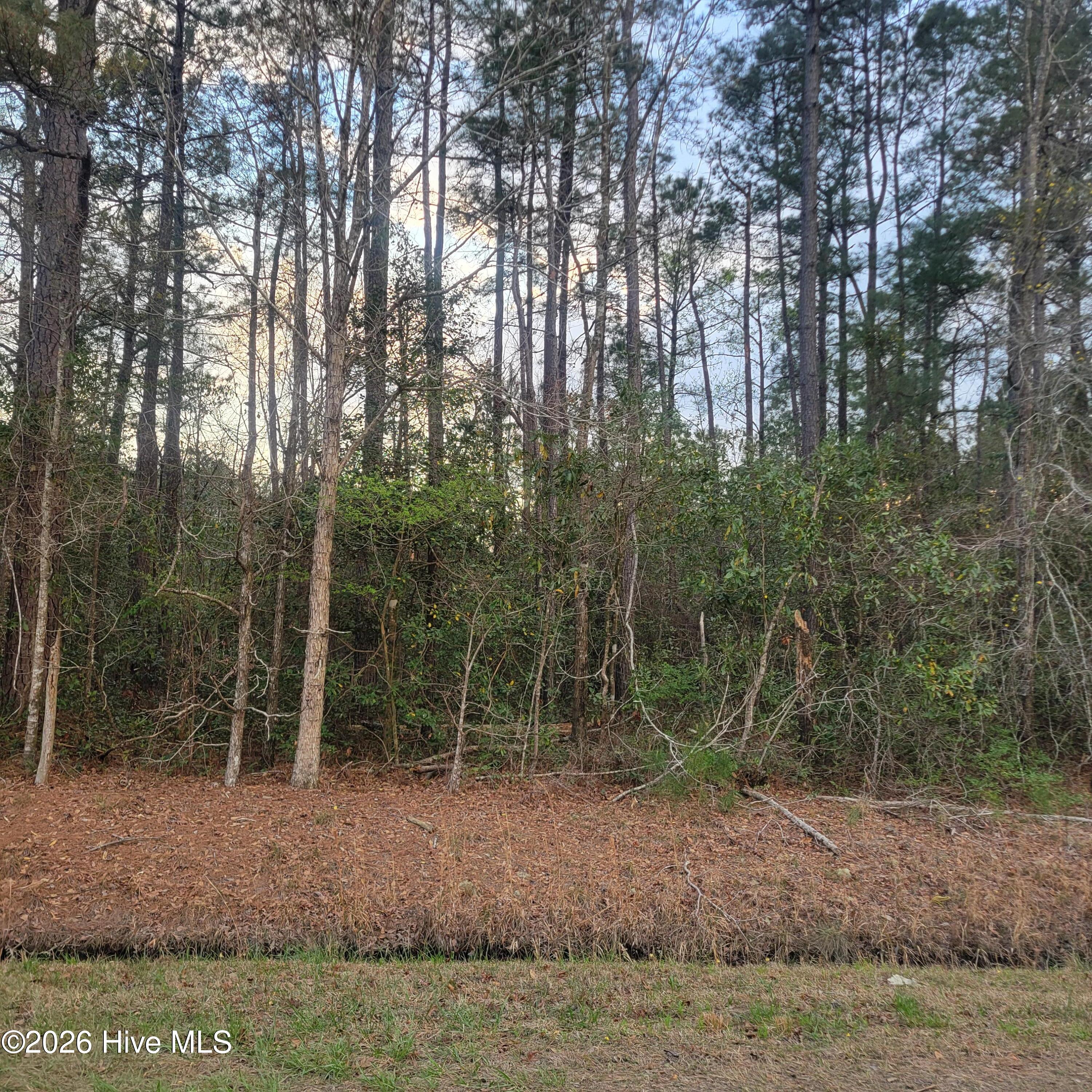 Tract 8 Fennell Town Road Property Photo 1