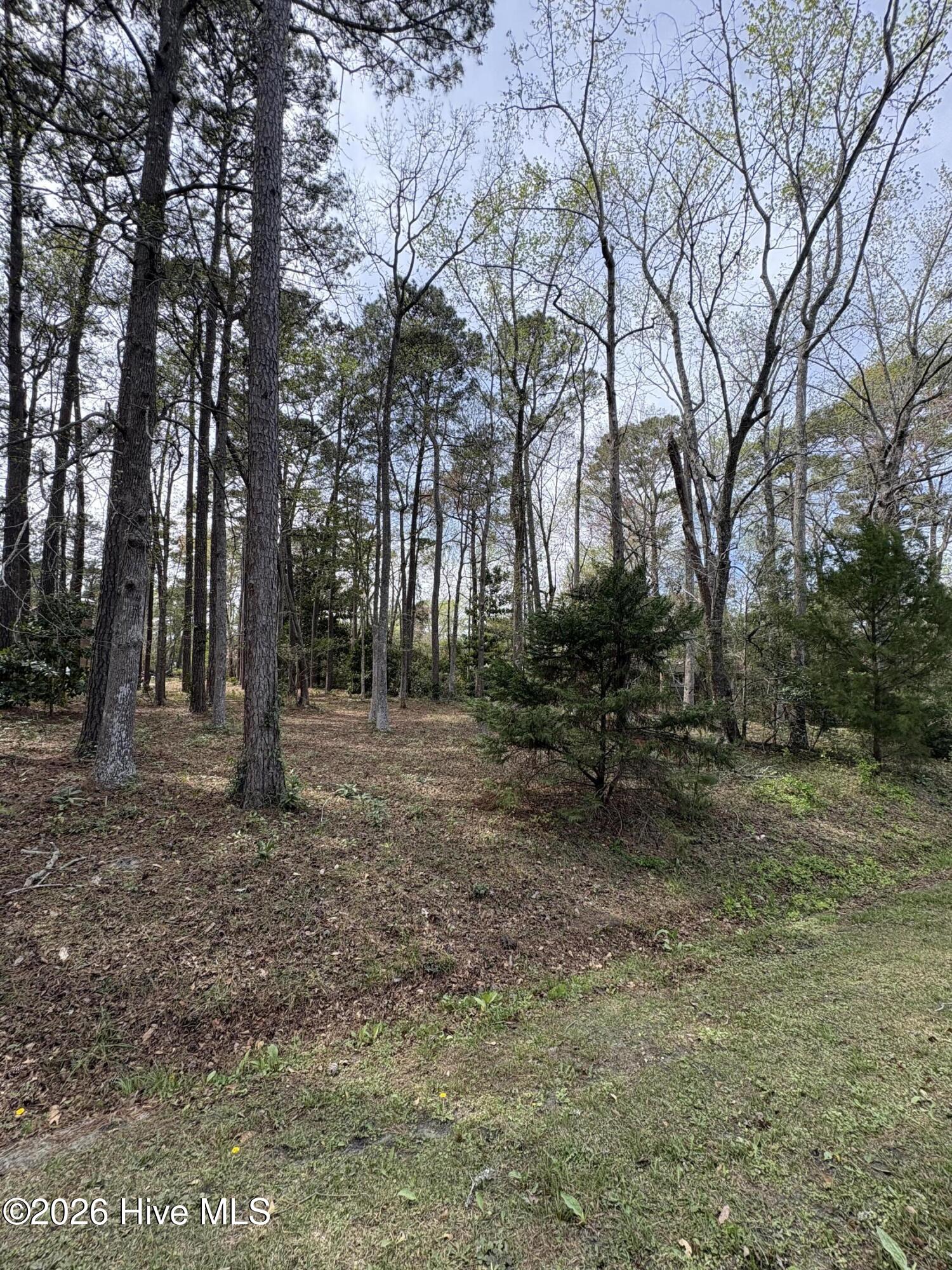 77 Carolina Shores Drive Property Photo 1