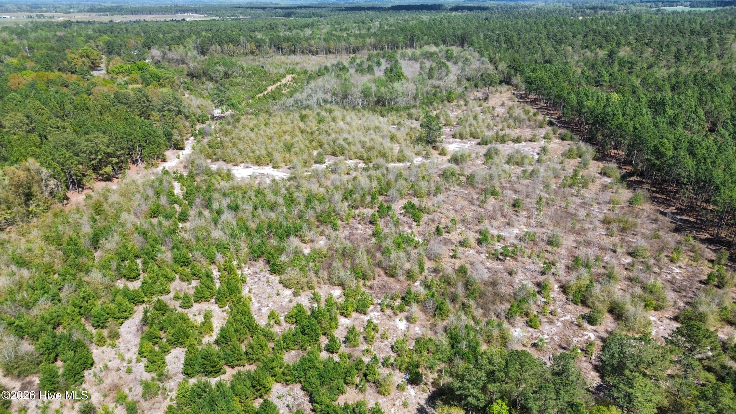 0 Wilbur Pridgen Road Property Photo 1