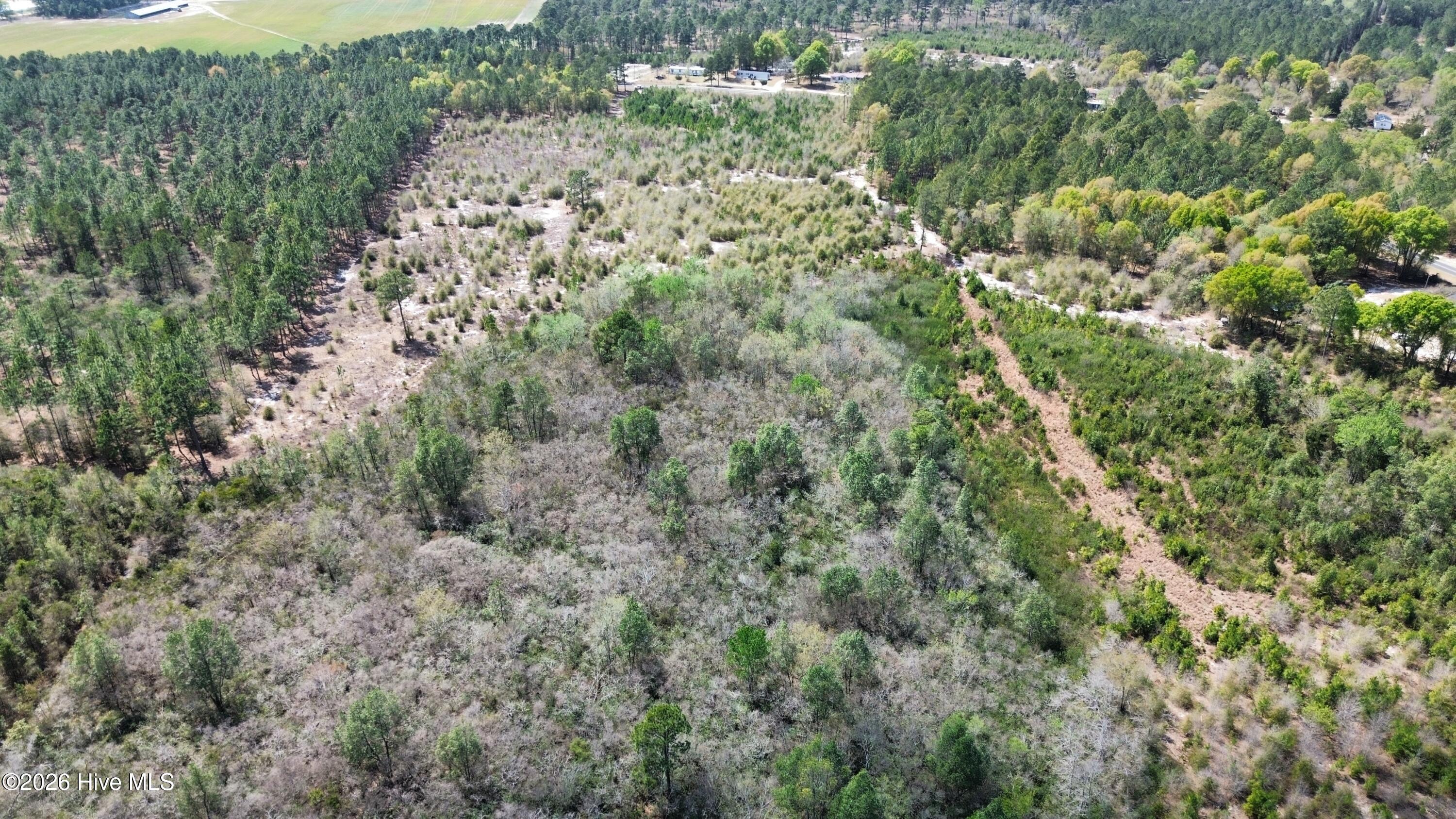 0 Wilbur Pridgen Road Property Photo 3