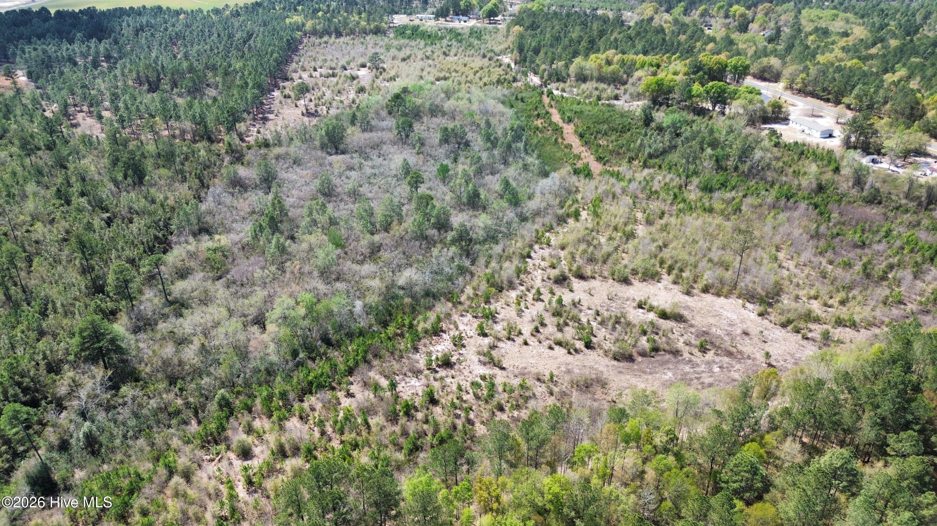 0 Wilbur Pridgen Road Property Photo 6