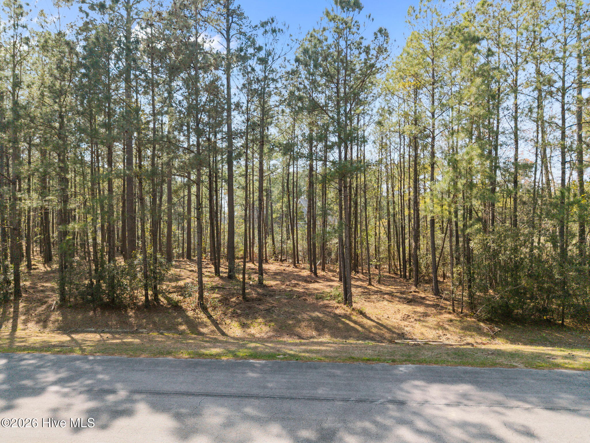 1512 Property Photo 22